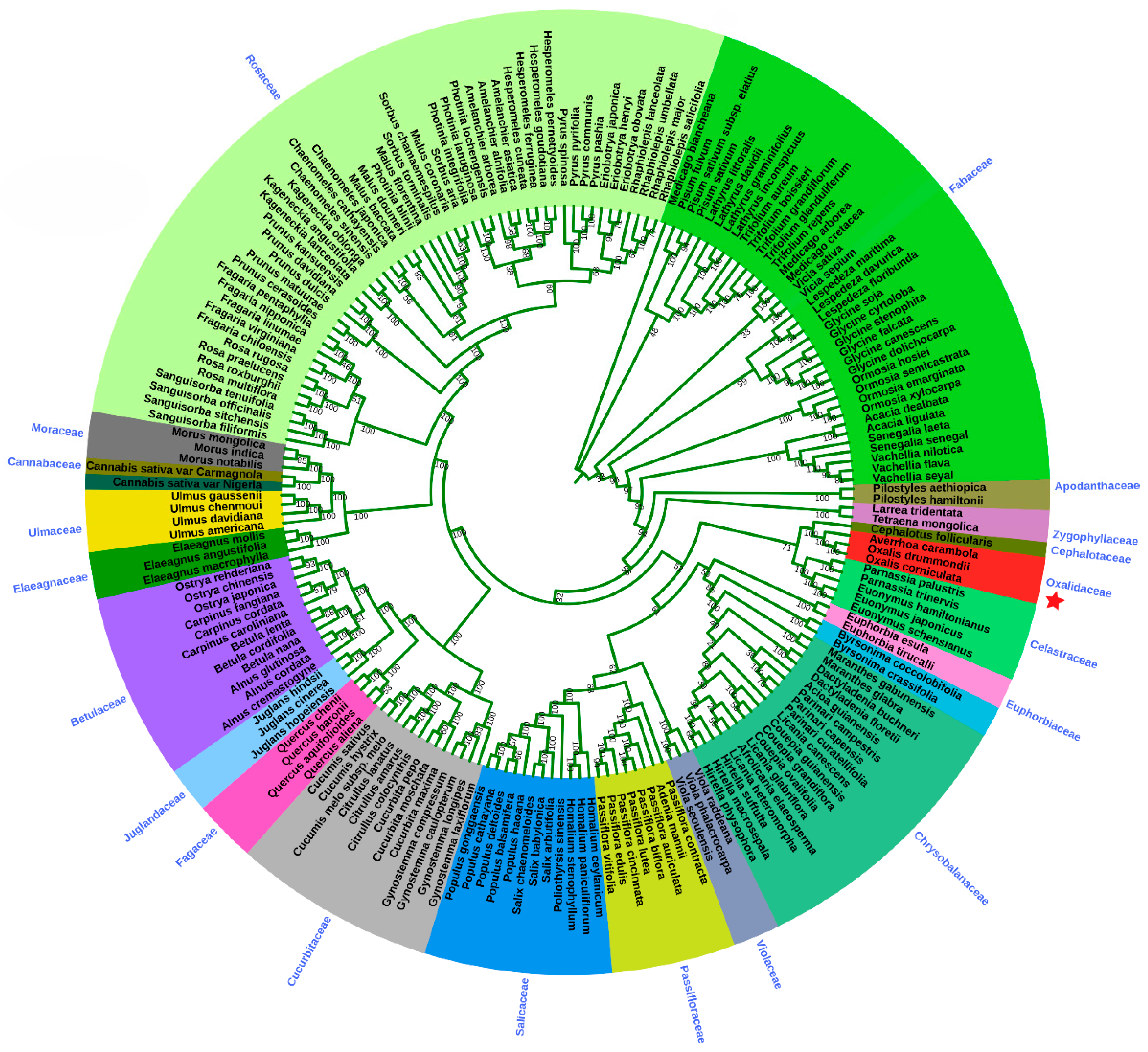 Plants 09 00928 g007
