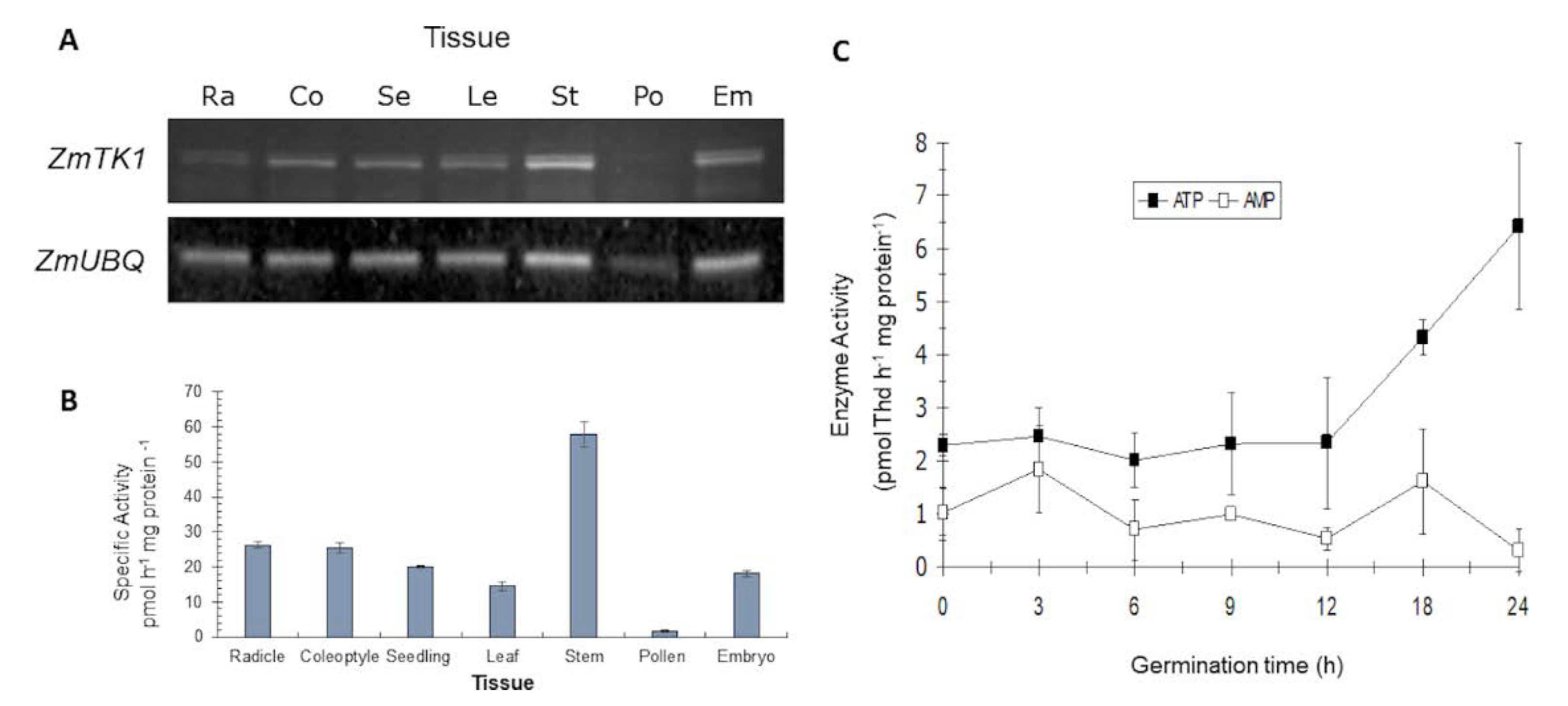 Plants 09 00930 g001