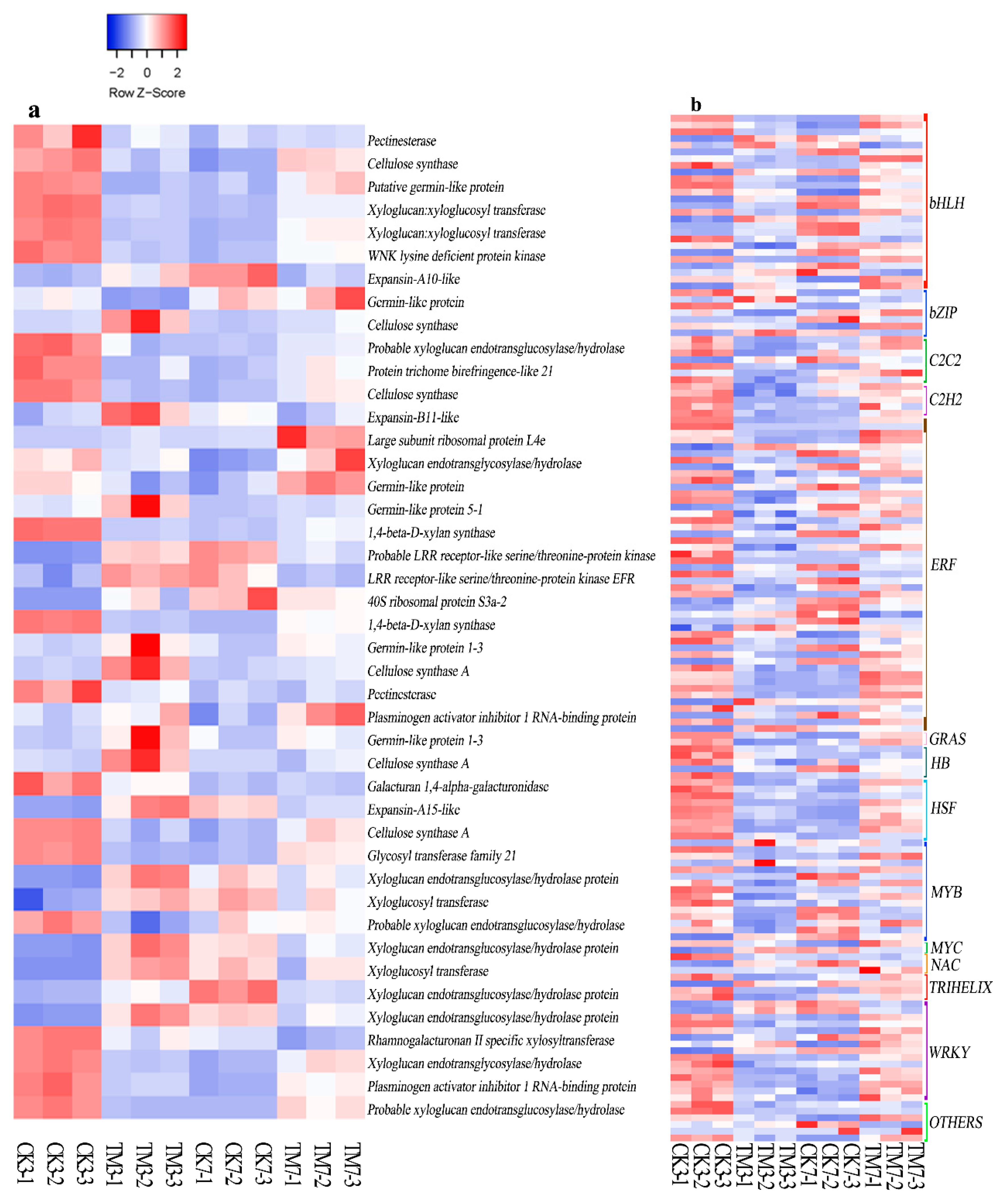 Plants Free Full Text Transcriptome Profiling Provides Molecular Insights Into Auxin Induced Adventitious Root Formation In Sugarcane Saccharum Spp Interspecific Hybrids Microshoots Html