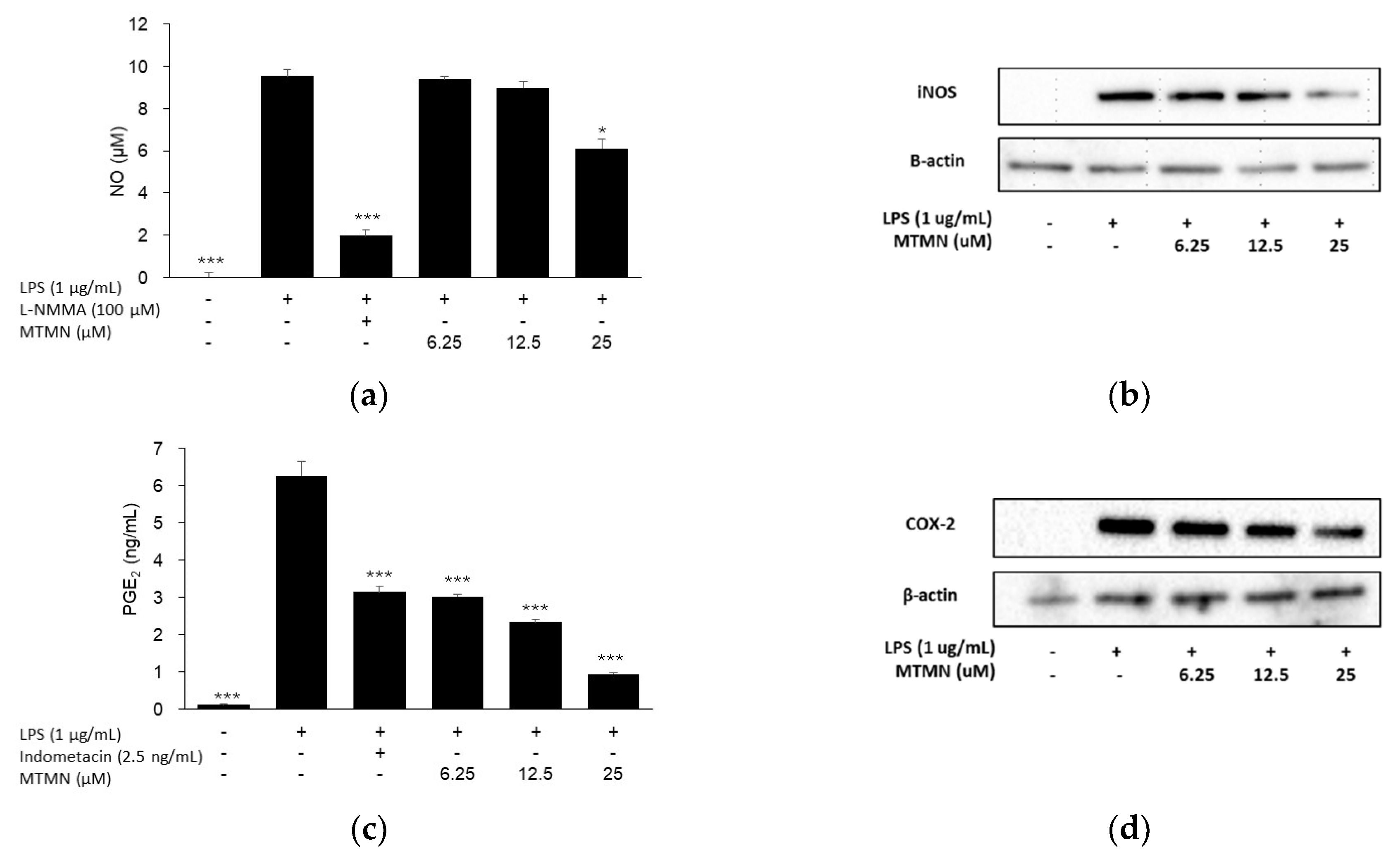 Plants 09 00932 g002