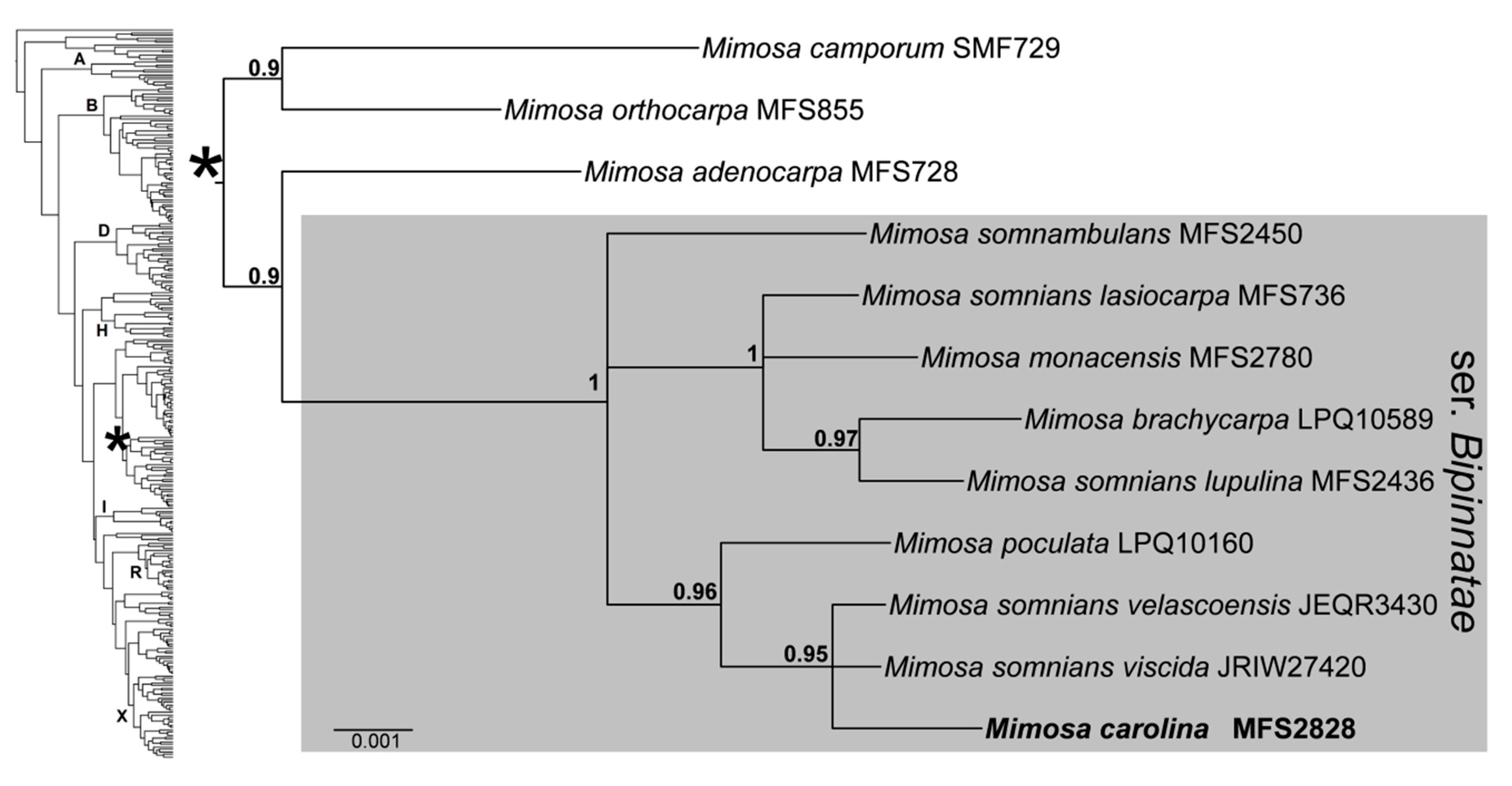 Plants 09 00934 g004
