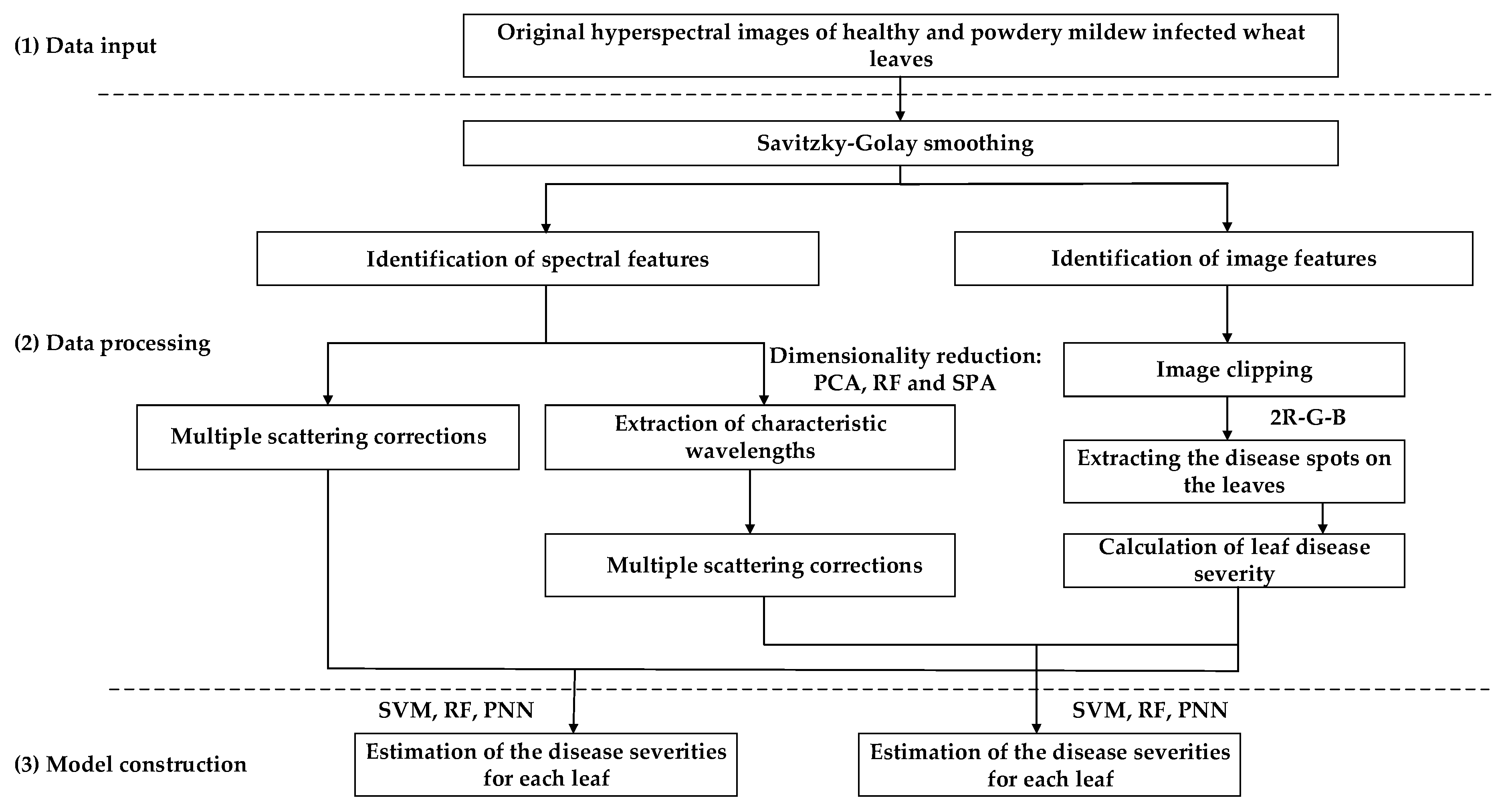 Plants 09 00936 g001