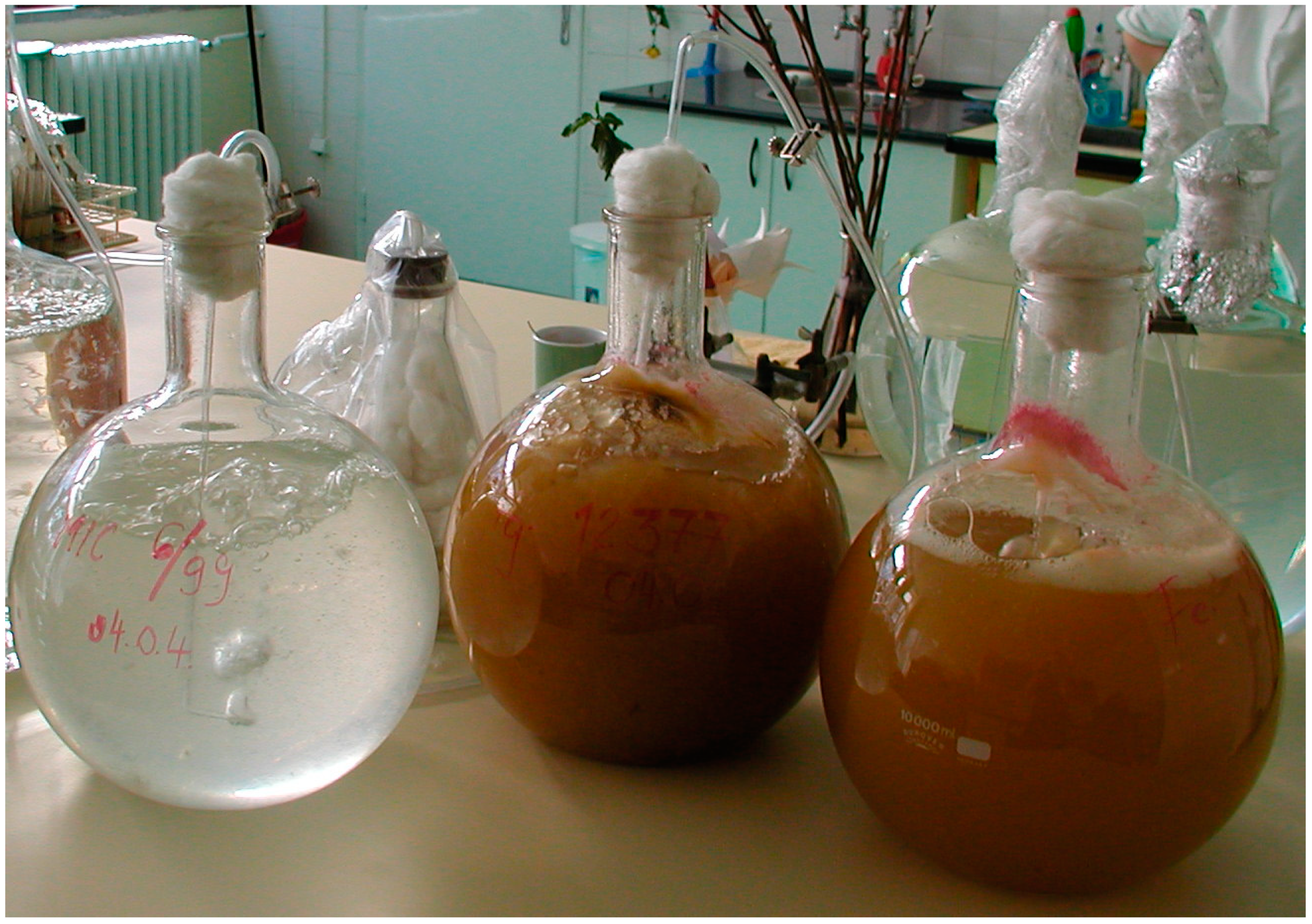 Plants 09 00943 g012