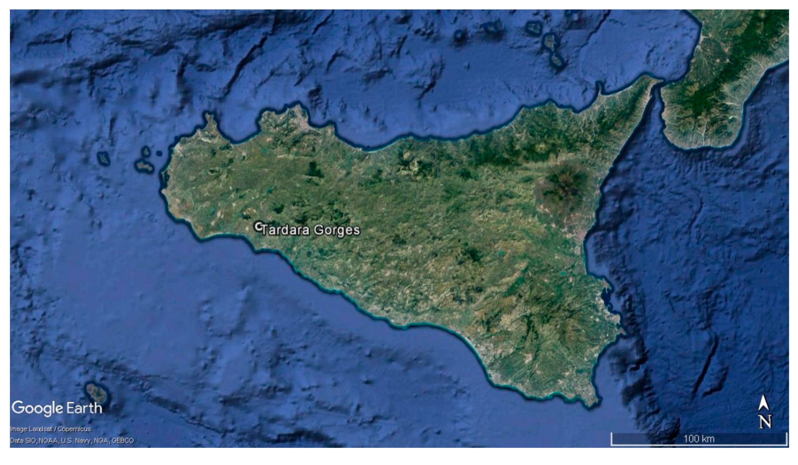 Plants 09 00947 g002 Plants 09 00947 g002