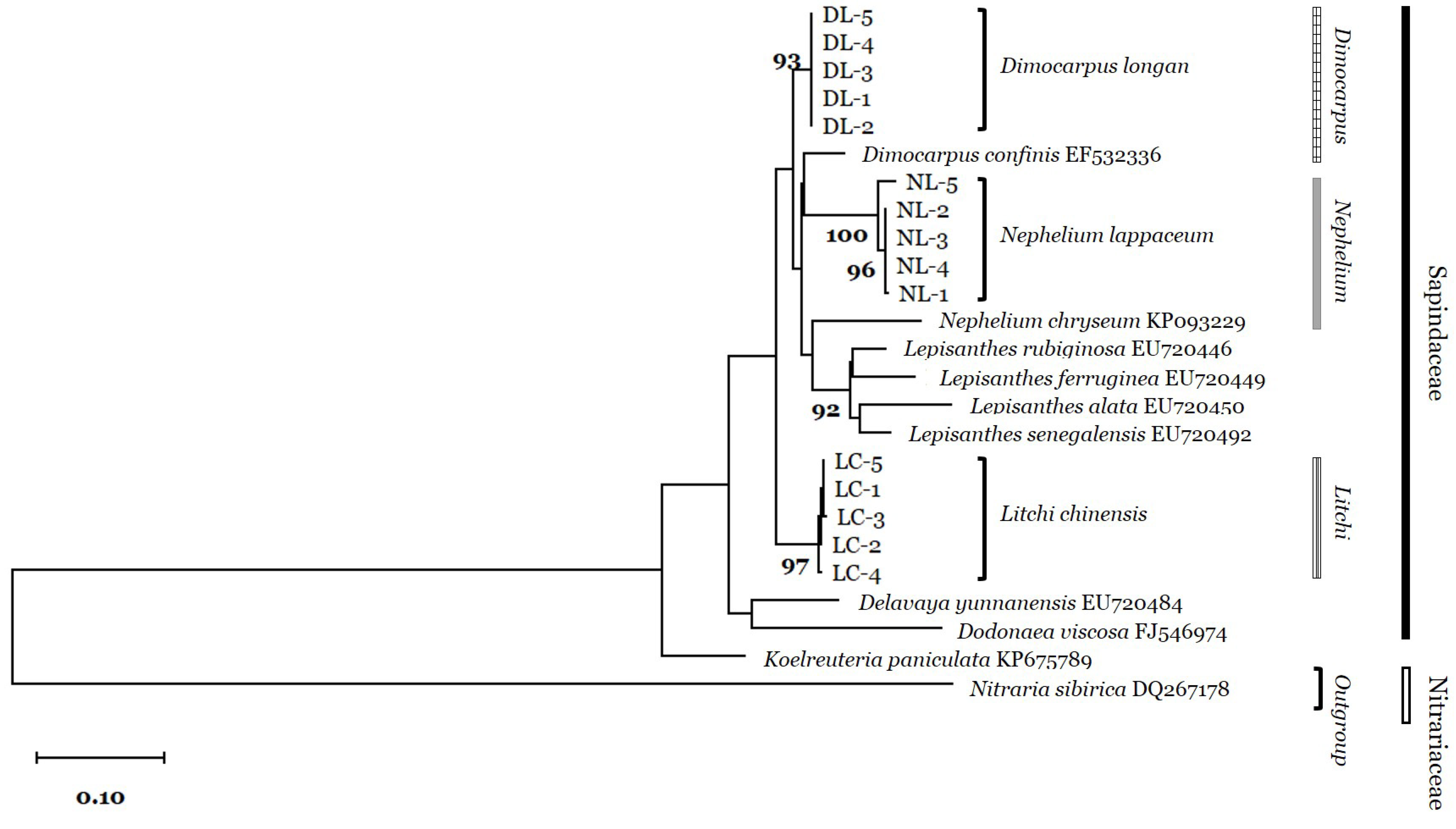 Plants 09 00948 g001