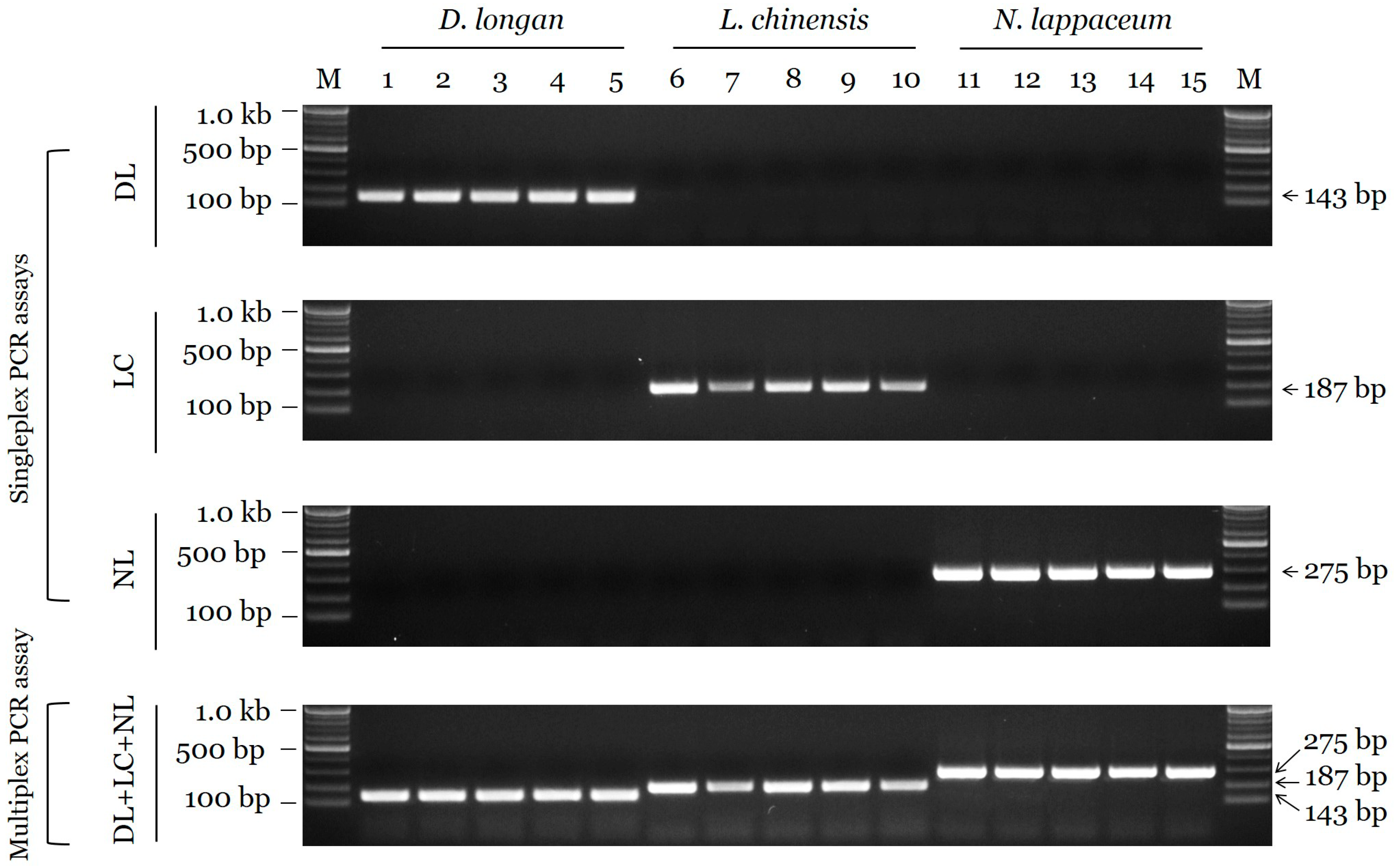 Plants 09 00948 g002