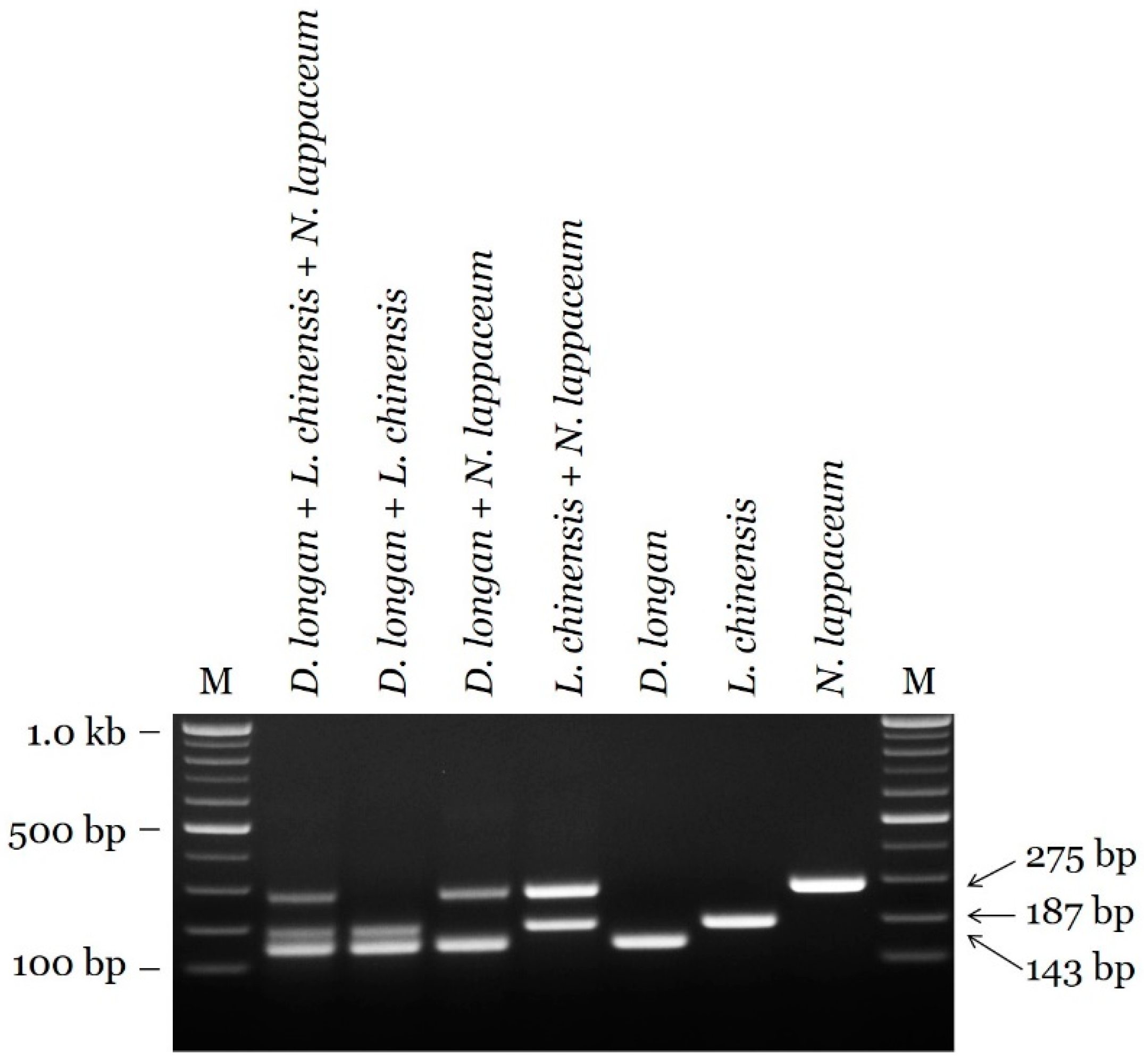 Plants 09 00948 g004