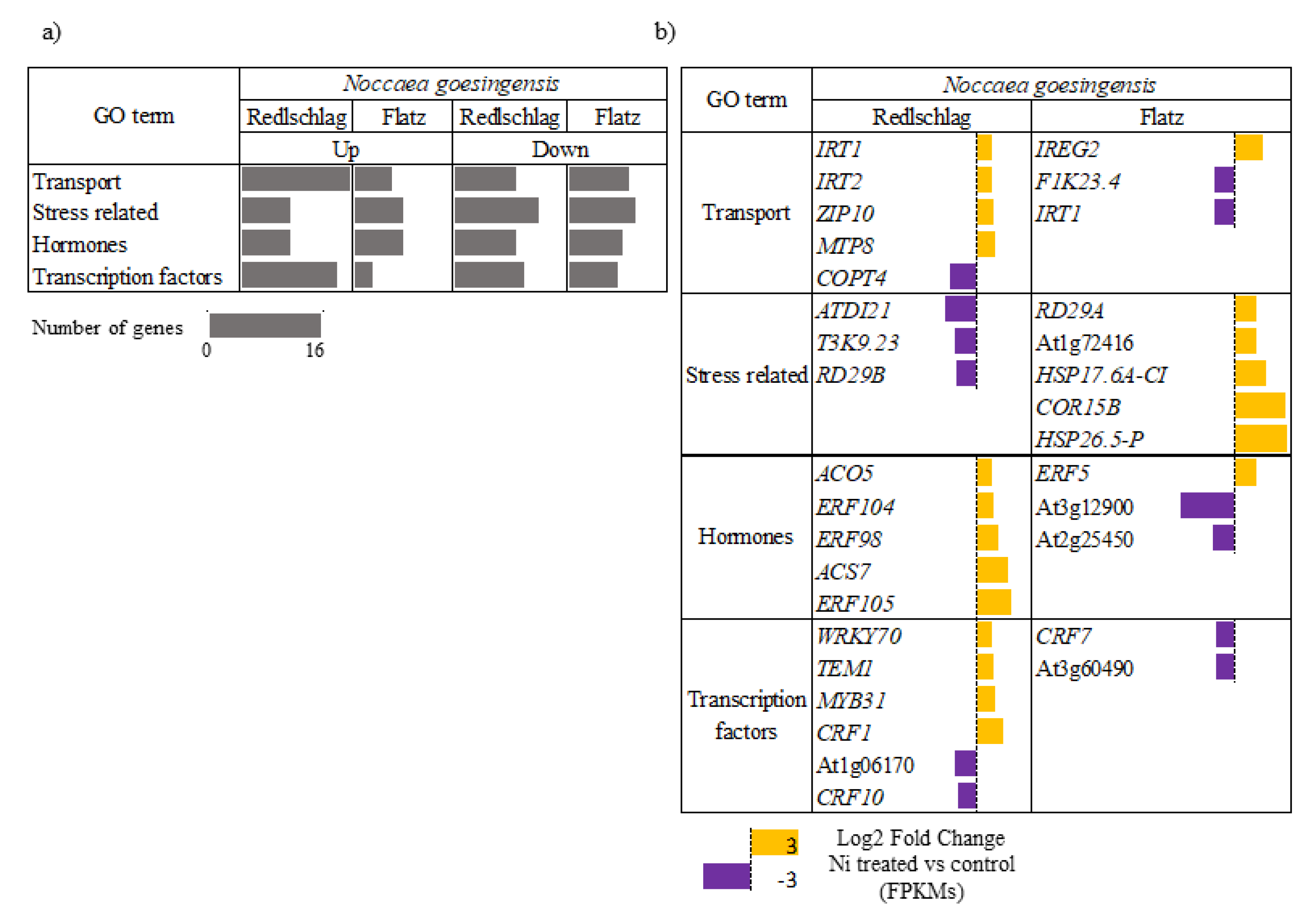 Plants 09 00951 g004 Plants 09 00951 g004