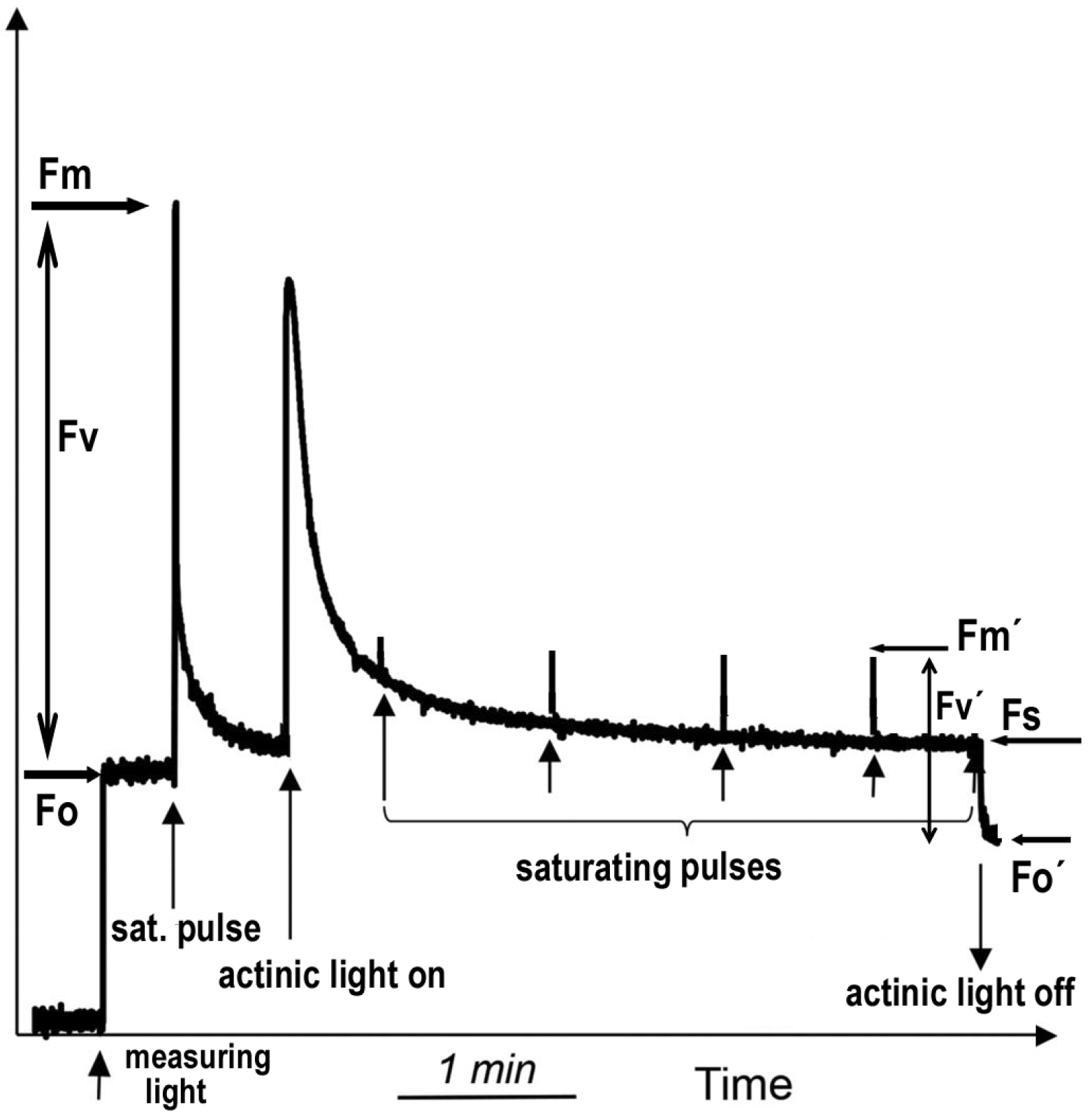 Plants 09 00962 g010 Plants 09 00962 g010