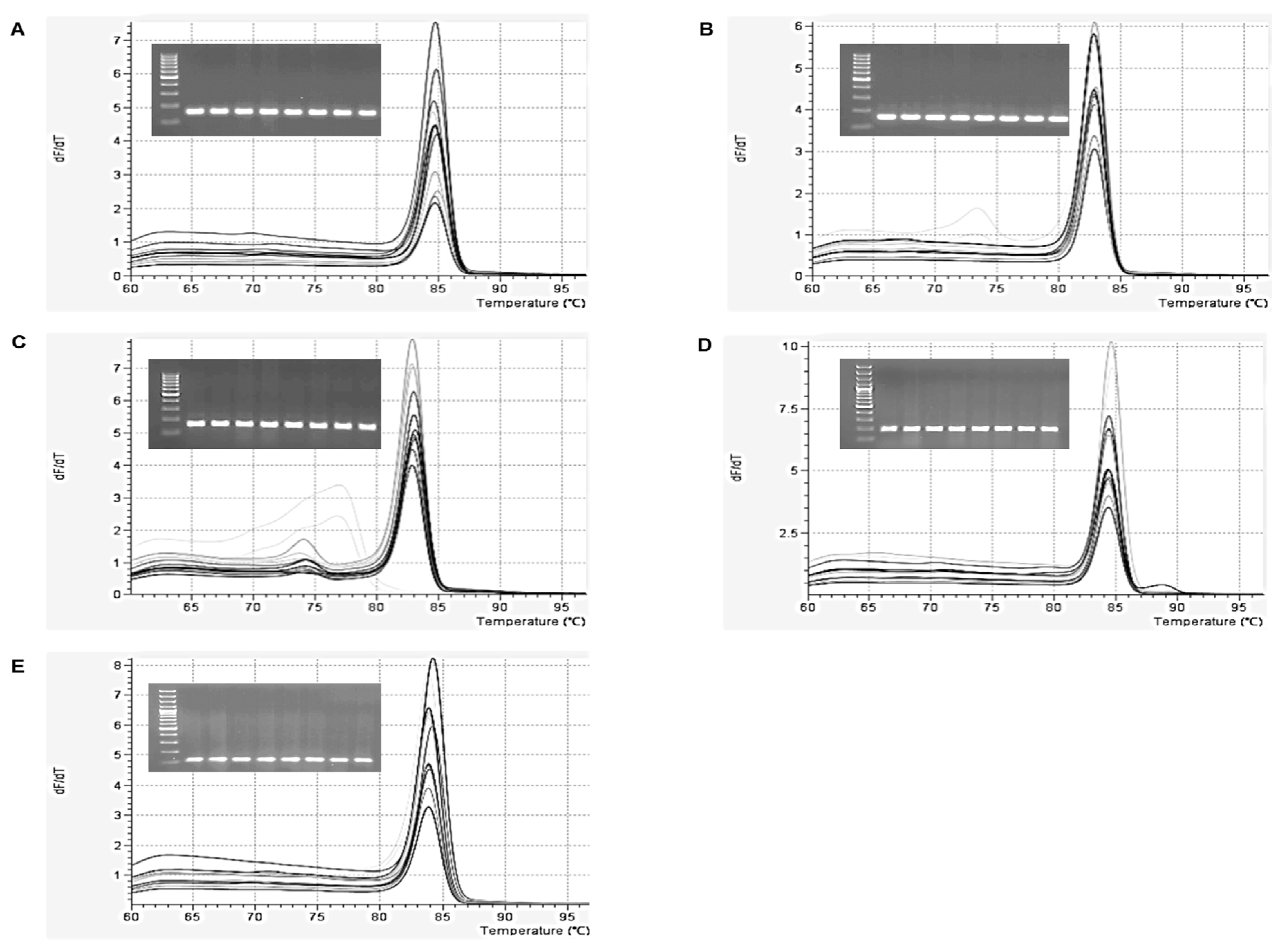 Plants 09 00966 g001