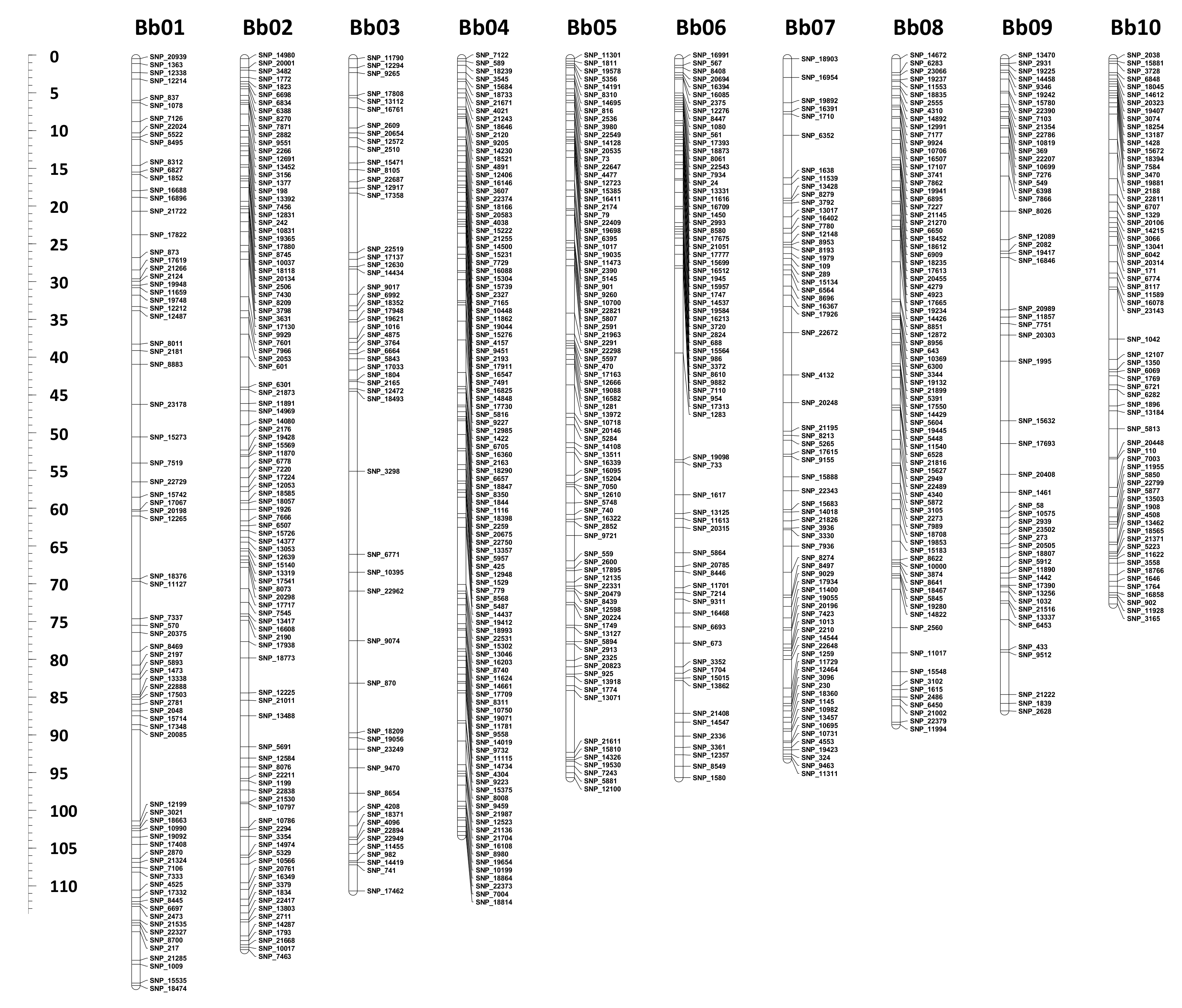 Plants 09 00973 g001