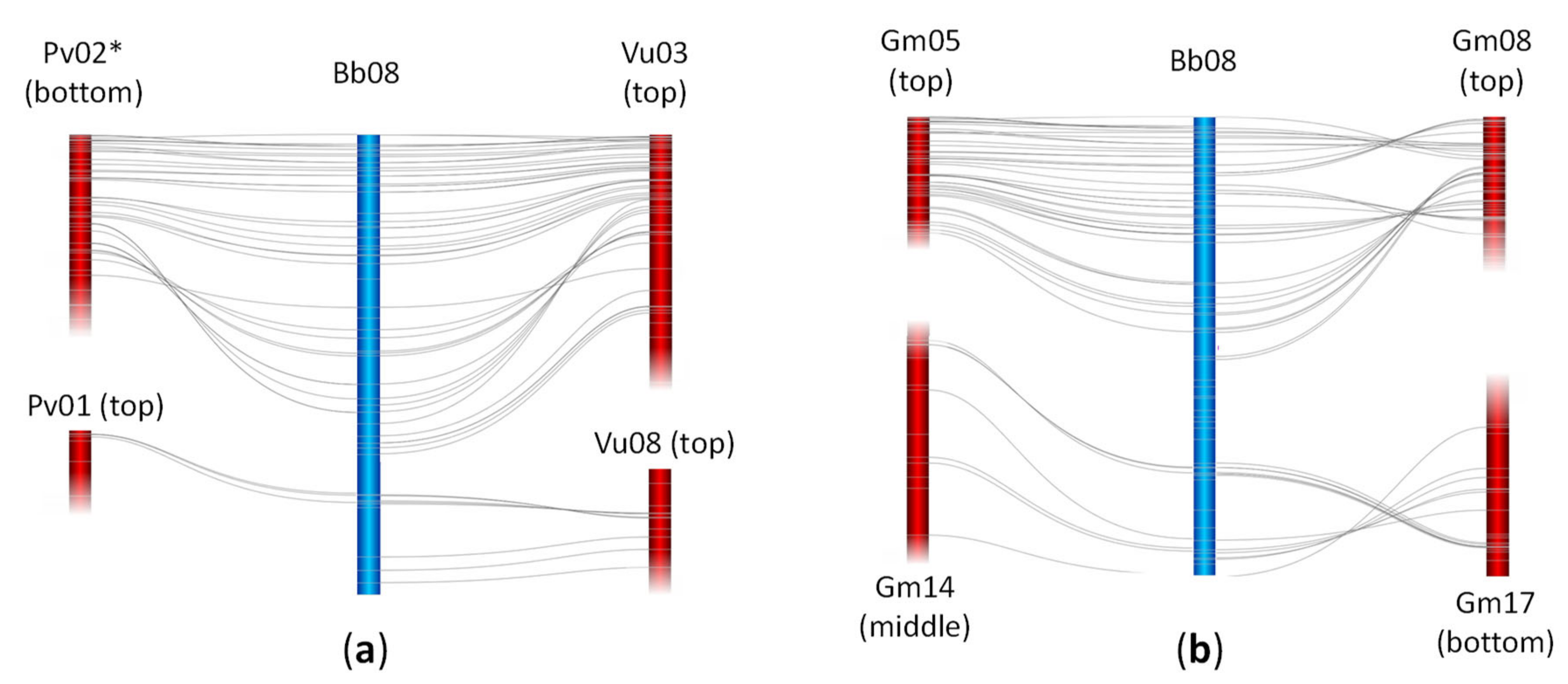 Plants 09 00973 g003
