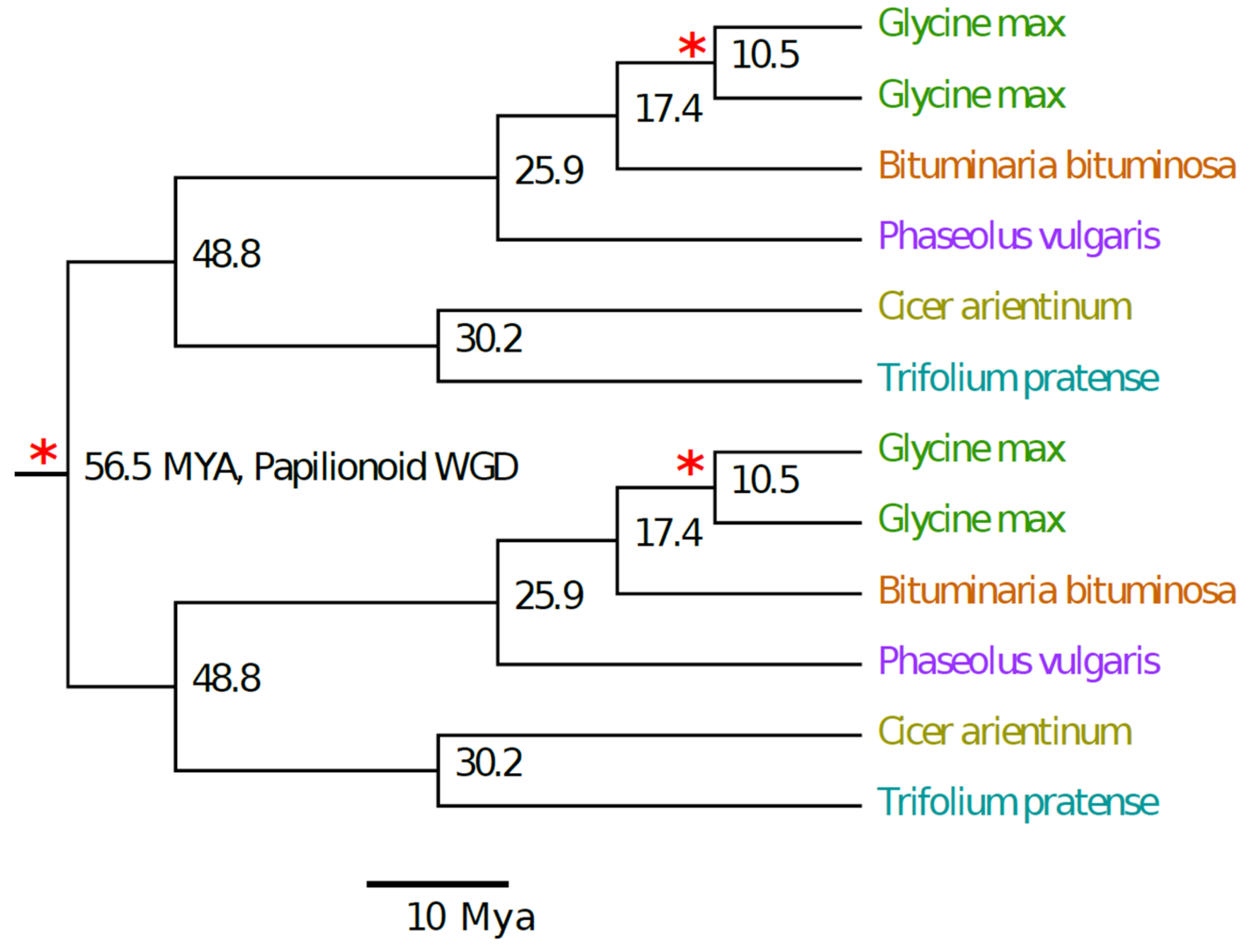 Plants 09 00973 g004