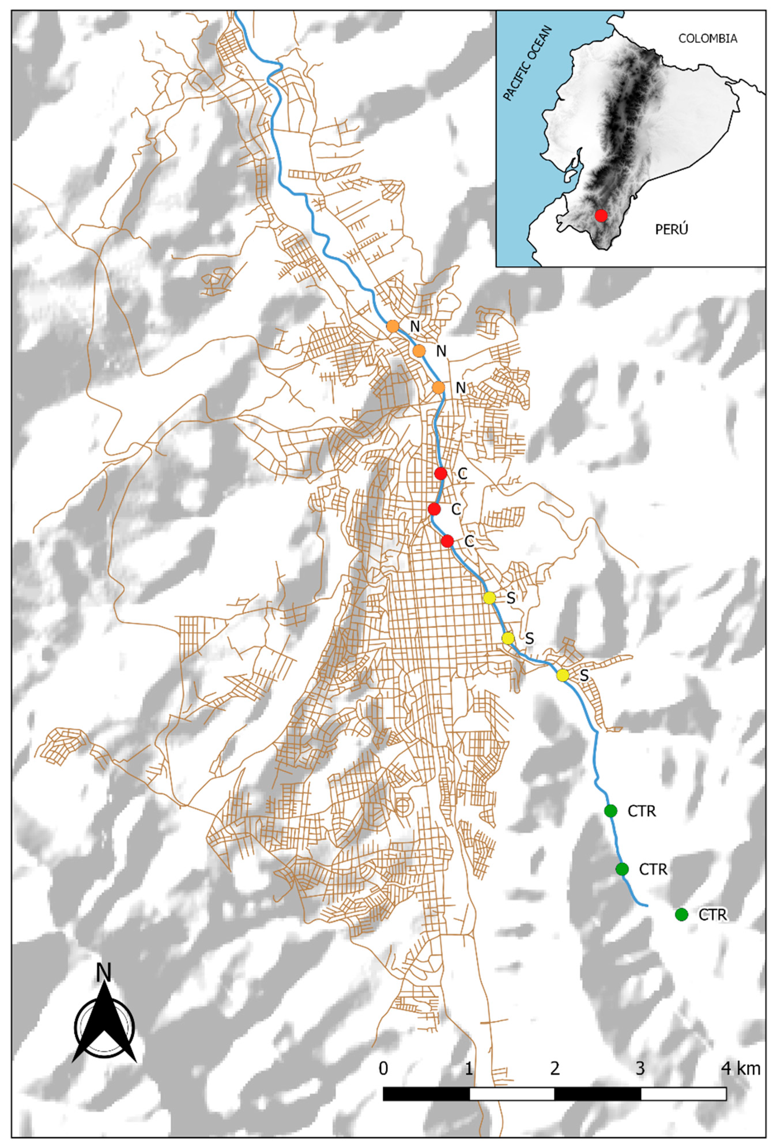 Plants 09 00974 g002