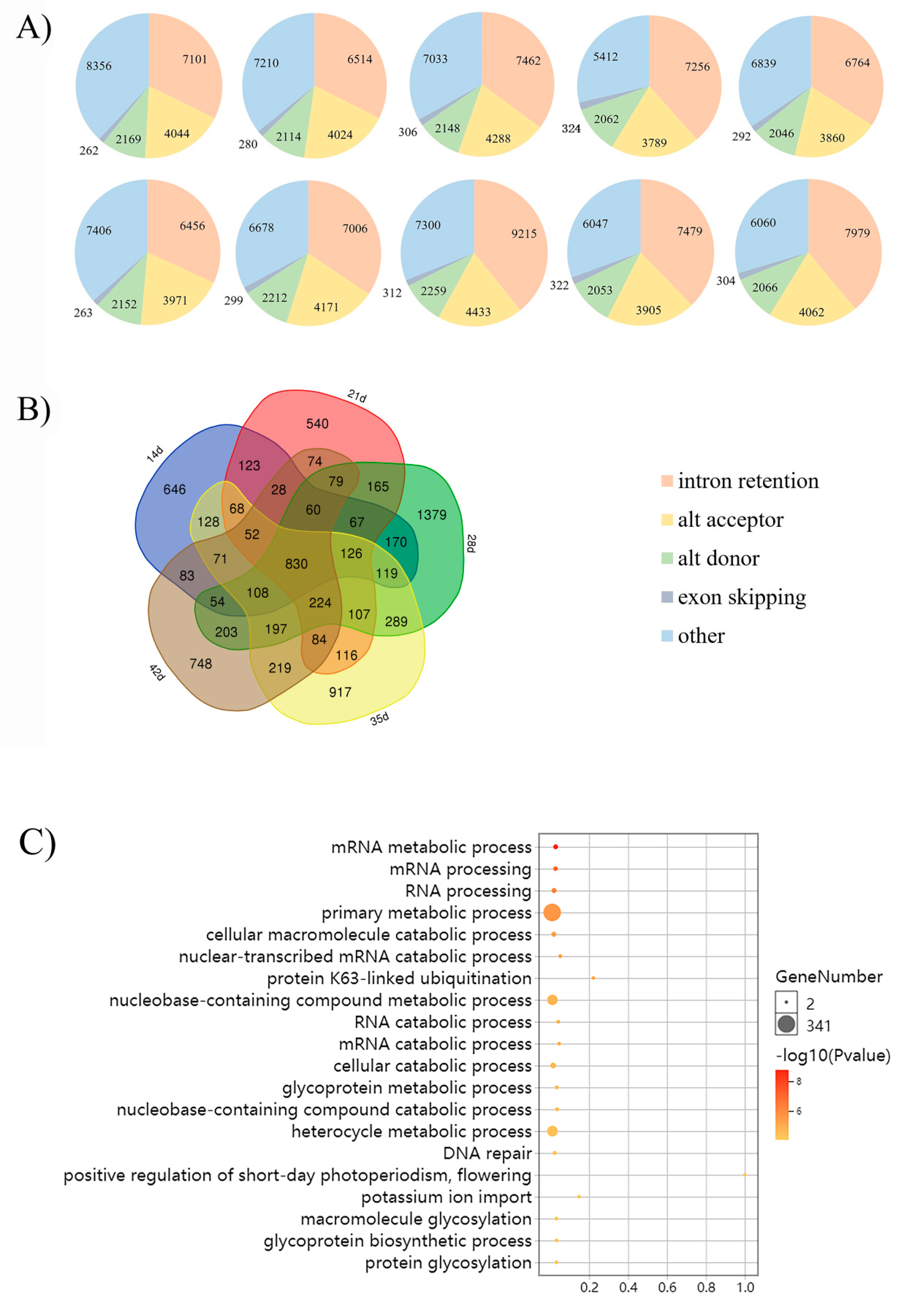Plants 09 00977 g001