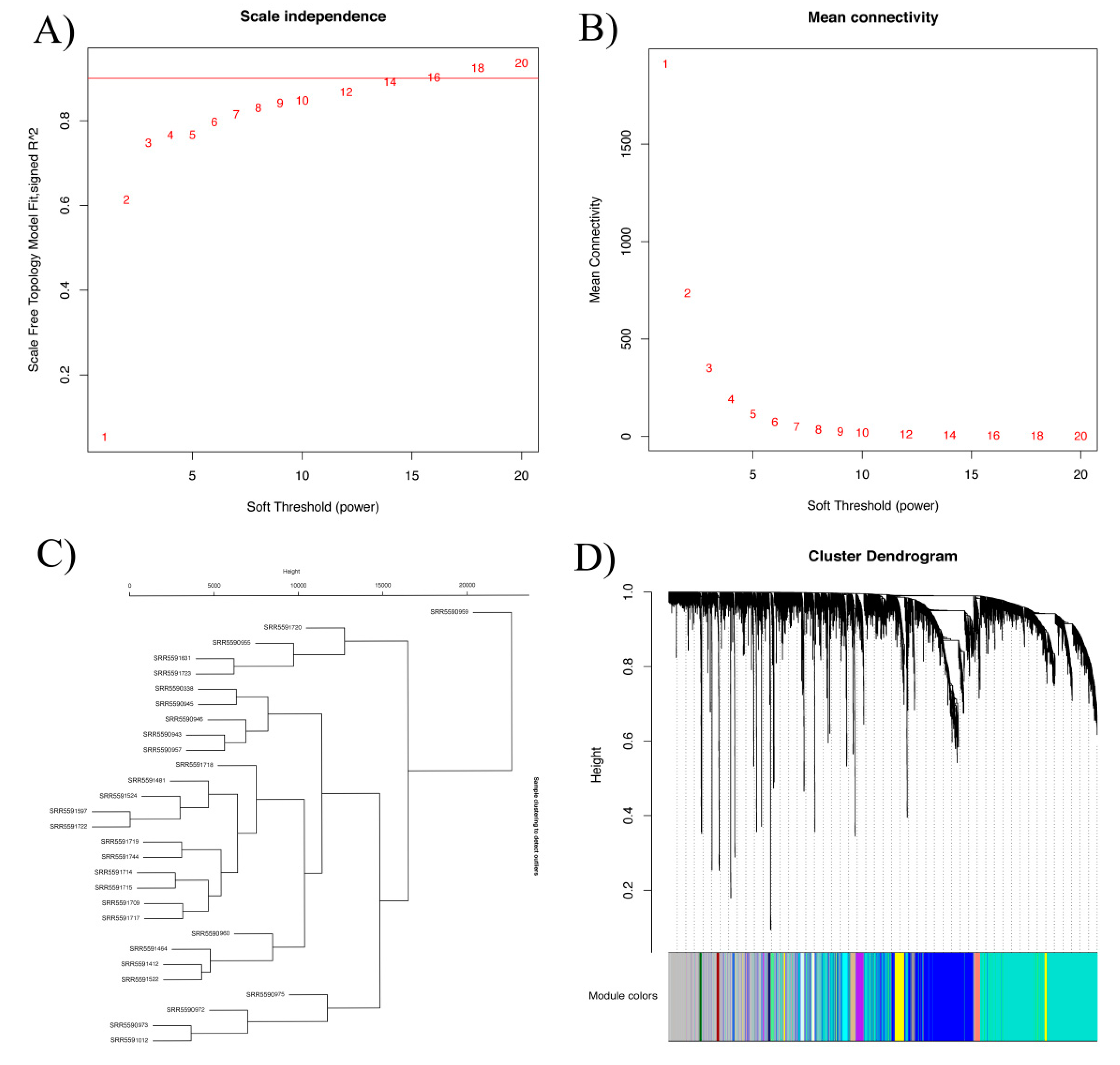 Plants 09 00977 g002
