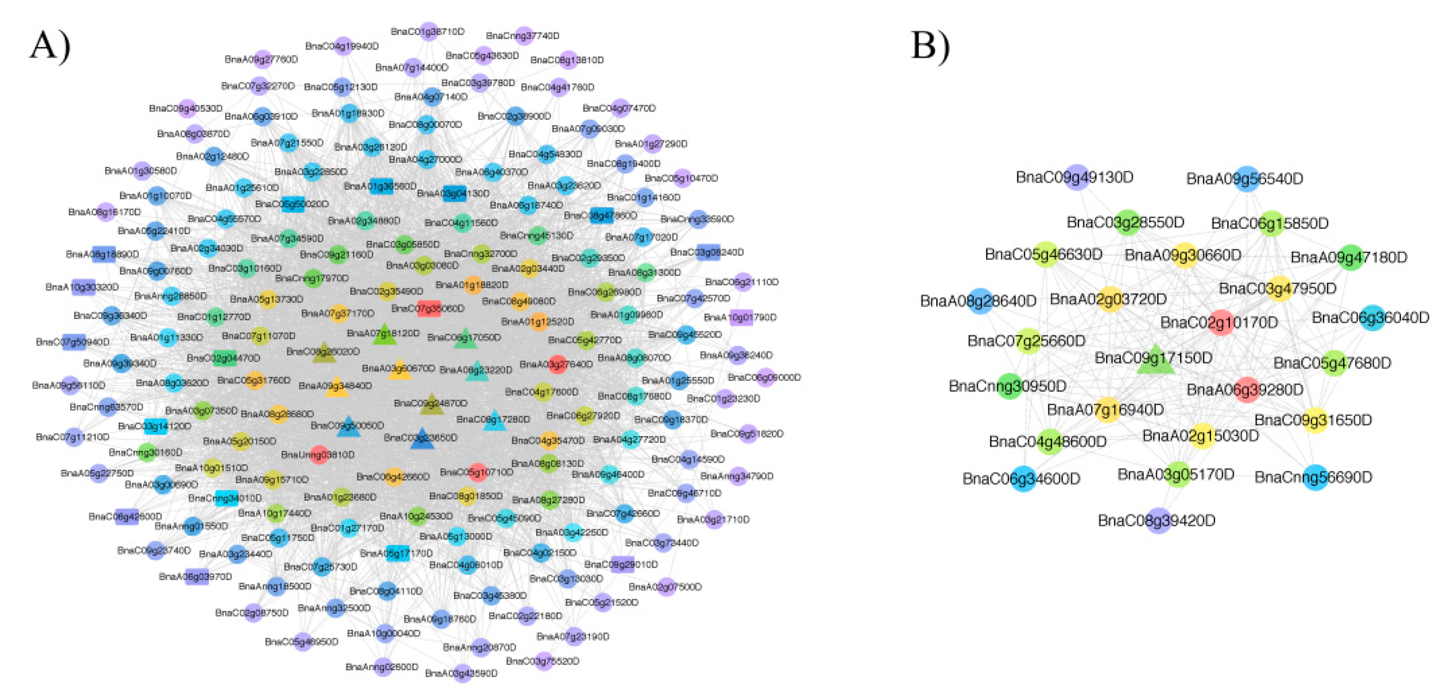 Plants 09 00977 g003
