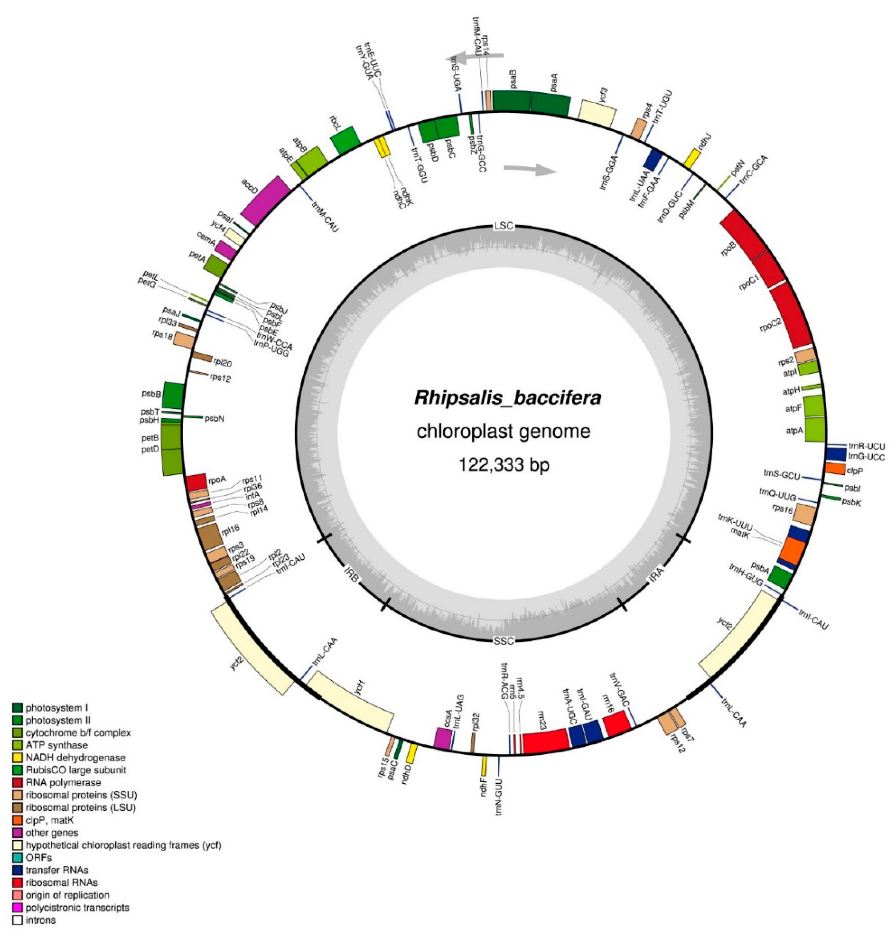 Plants 09 00979 g001