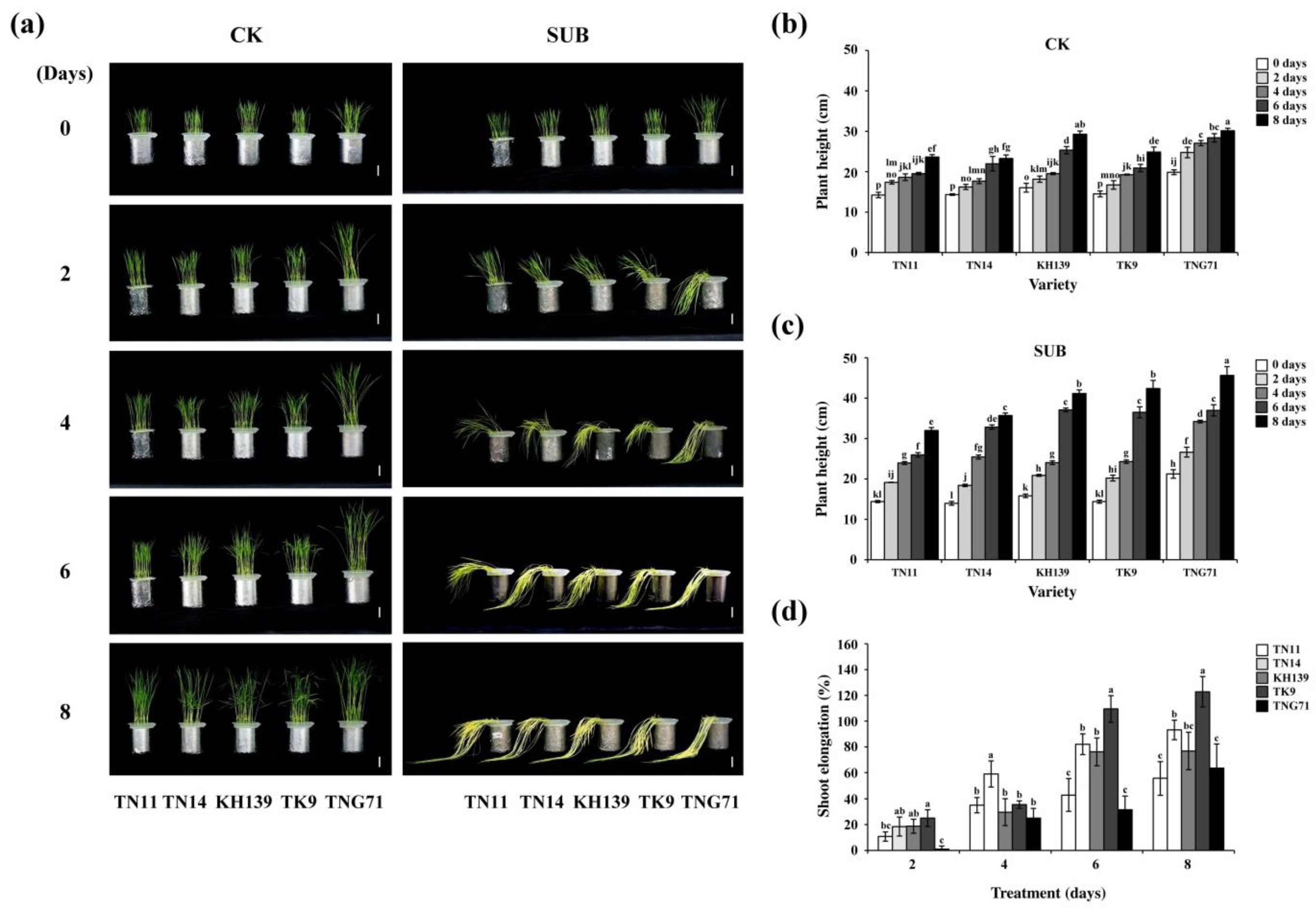 Plants 09 00982 g001
