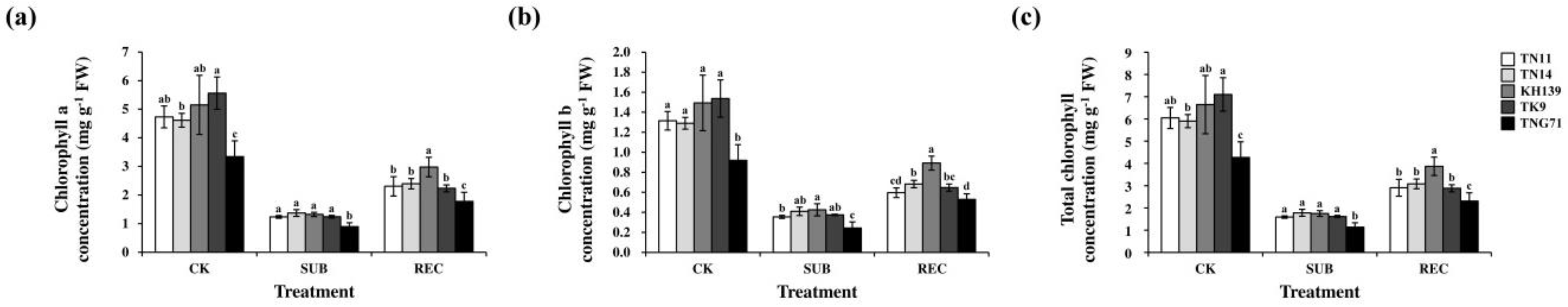 Plants 09 00982 g003