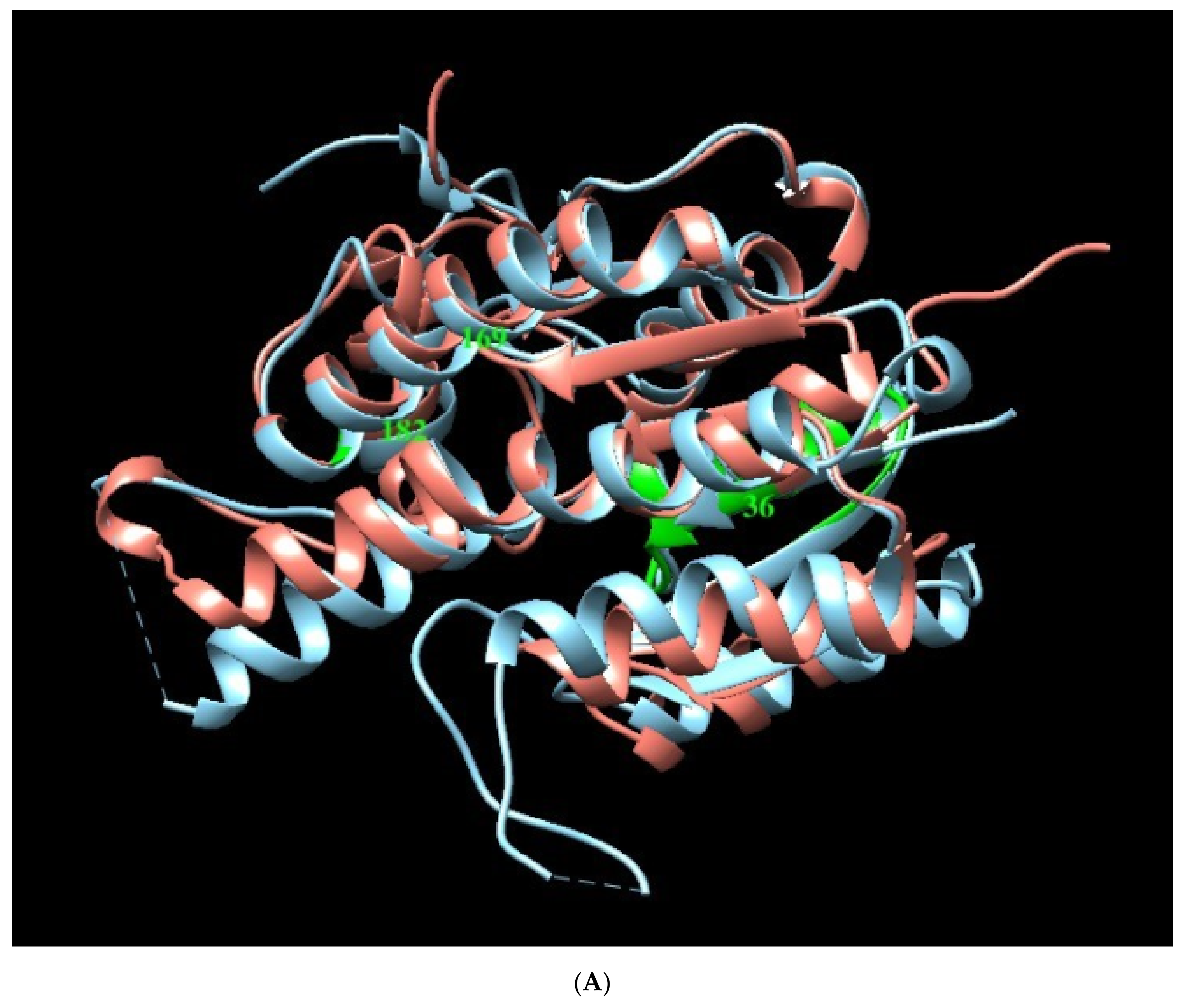 Plants 09 00983 g0a2a