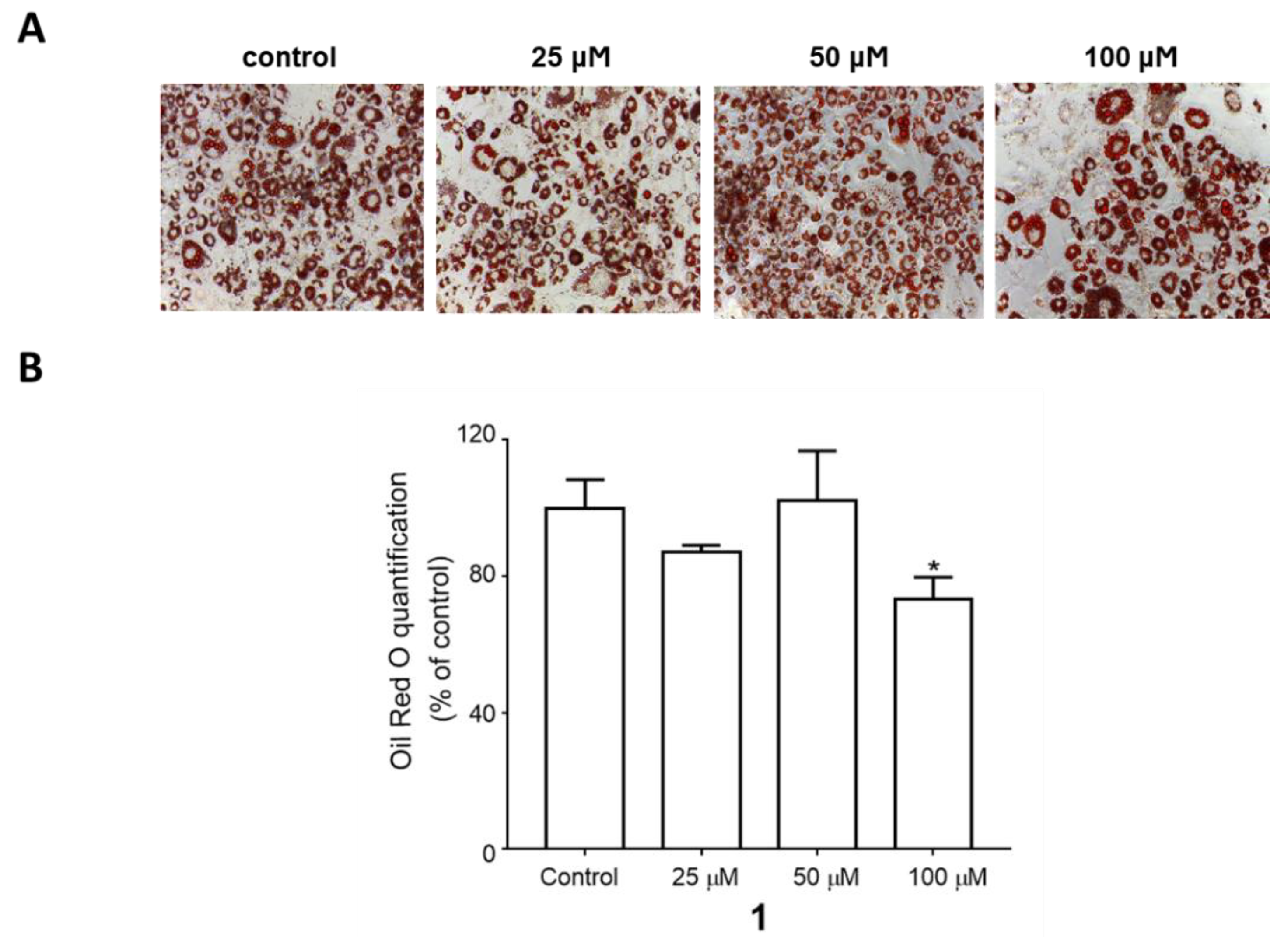 Plants 09 00984 g003