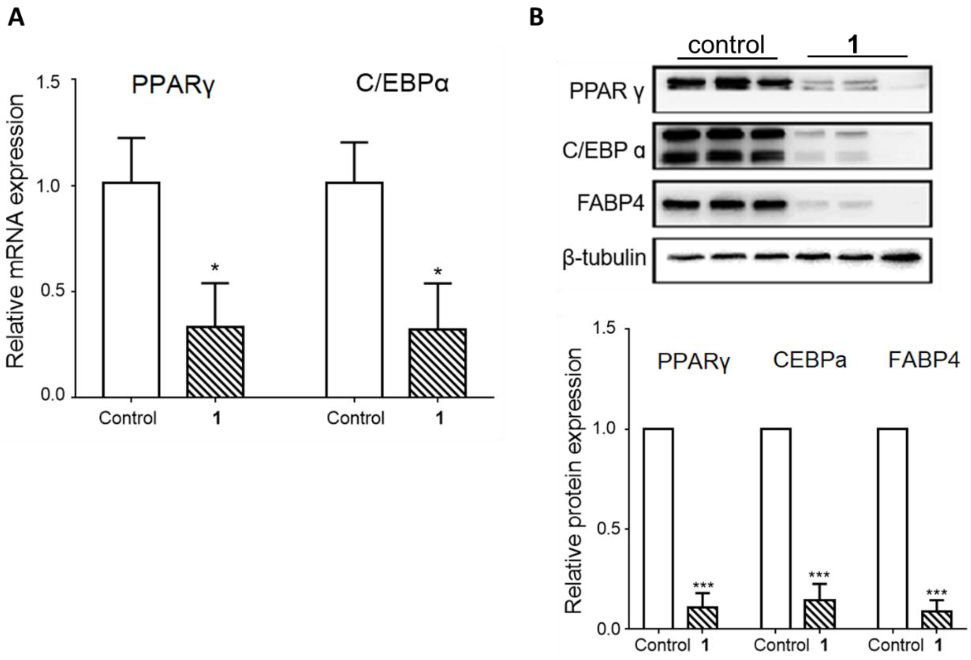 Plants 09 00984 g004