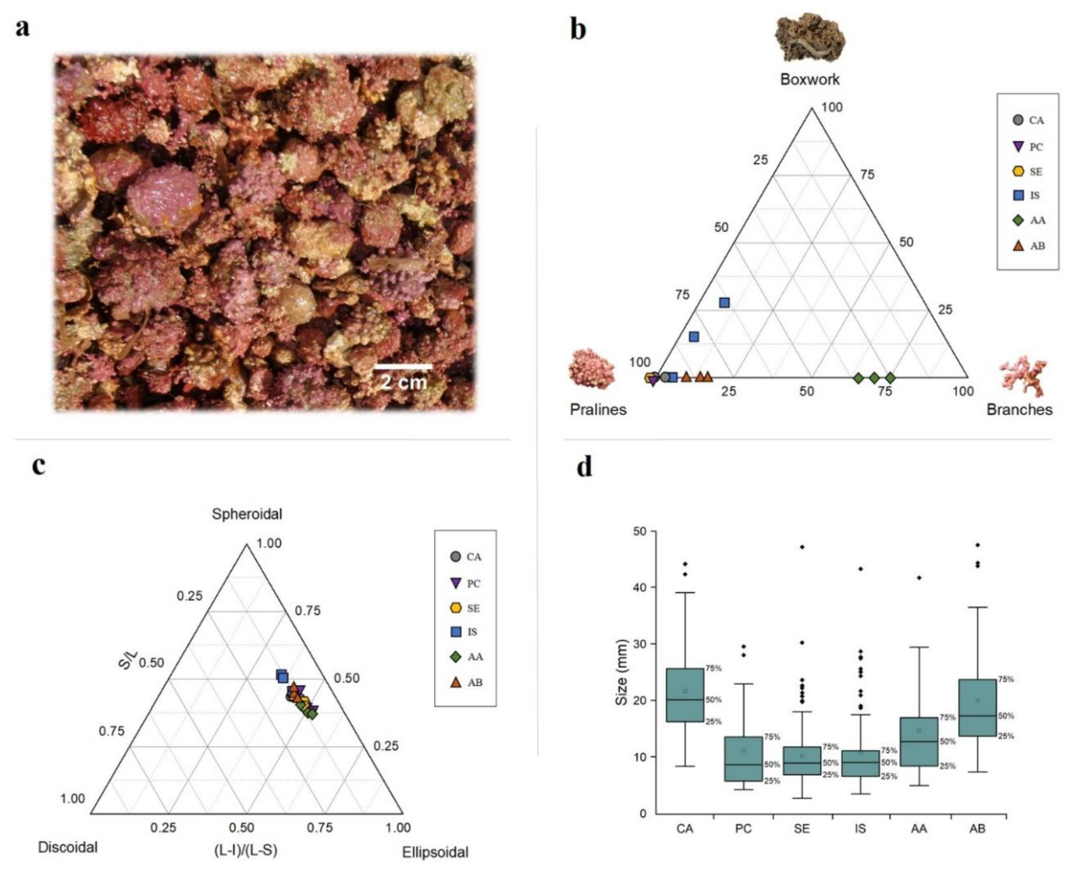 Plants 09 00985 g006