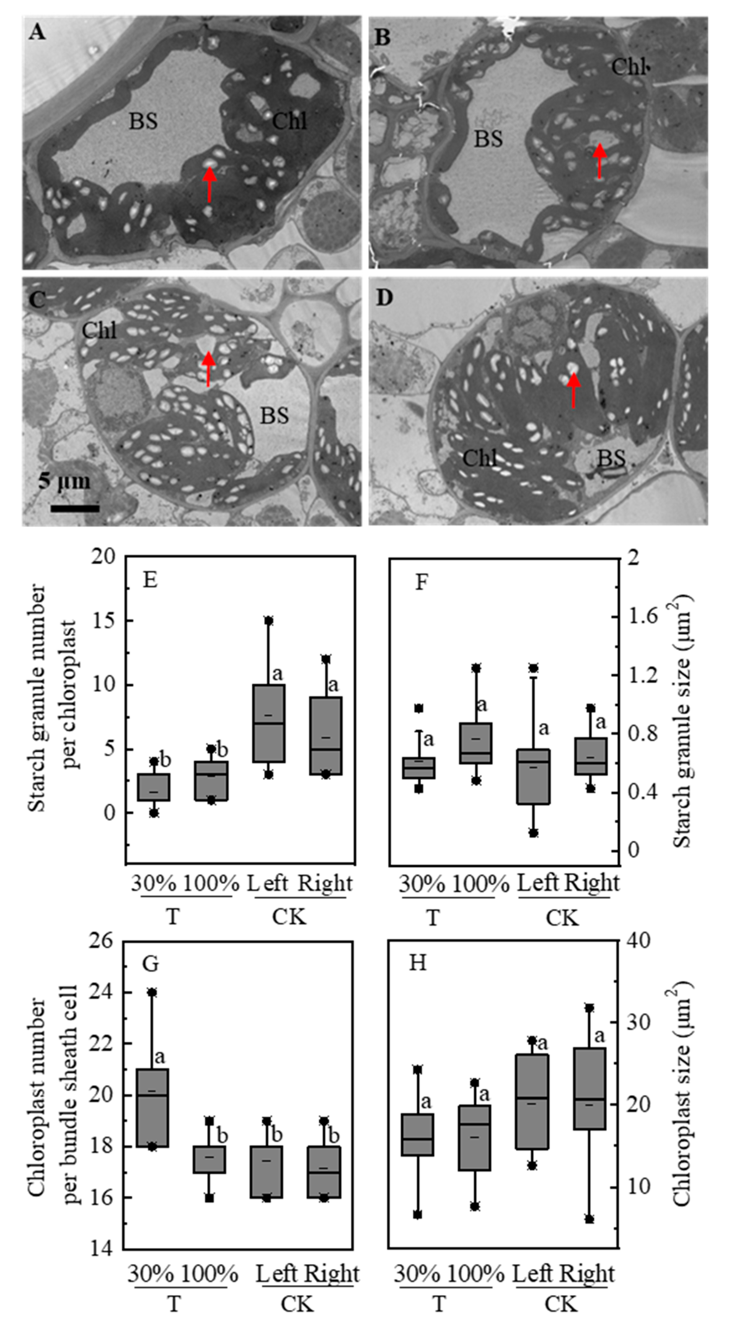 Plants 09 00987 g003 Plants 09 00987 g003
