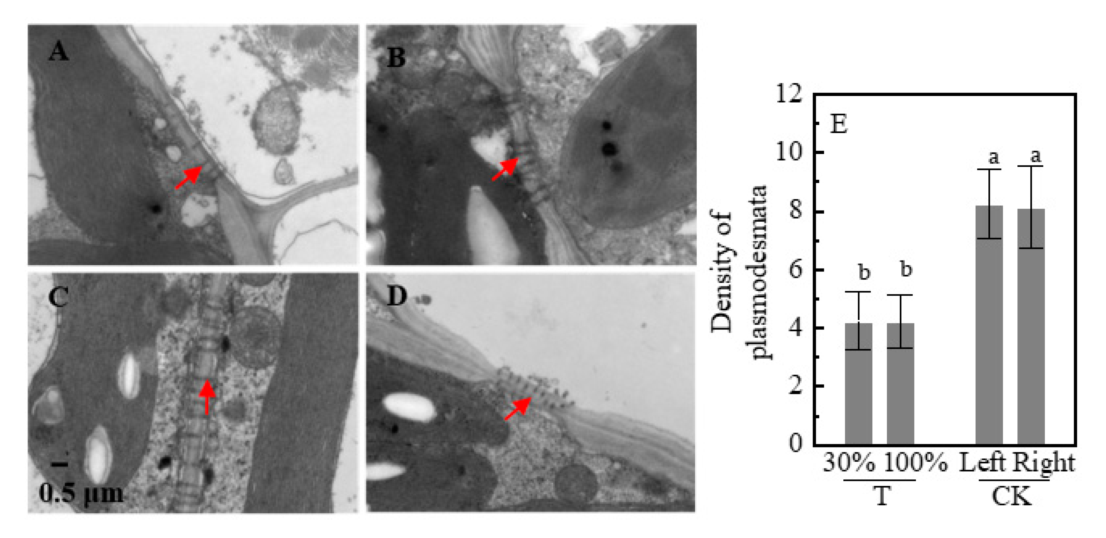 Plants 09 00987 g006 Plants 09 00987 g006