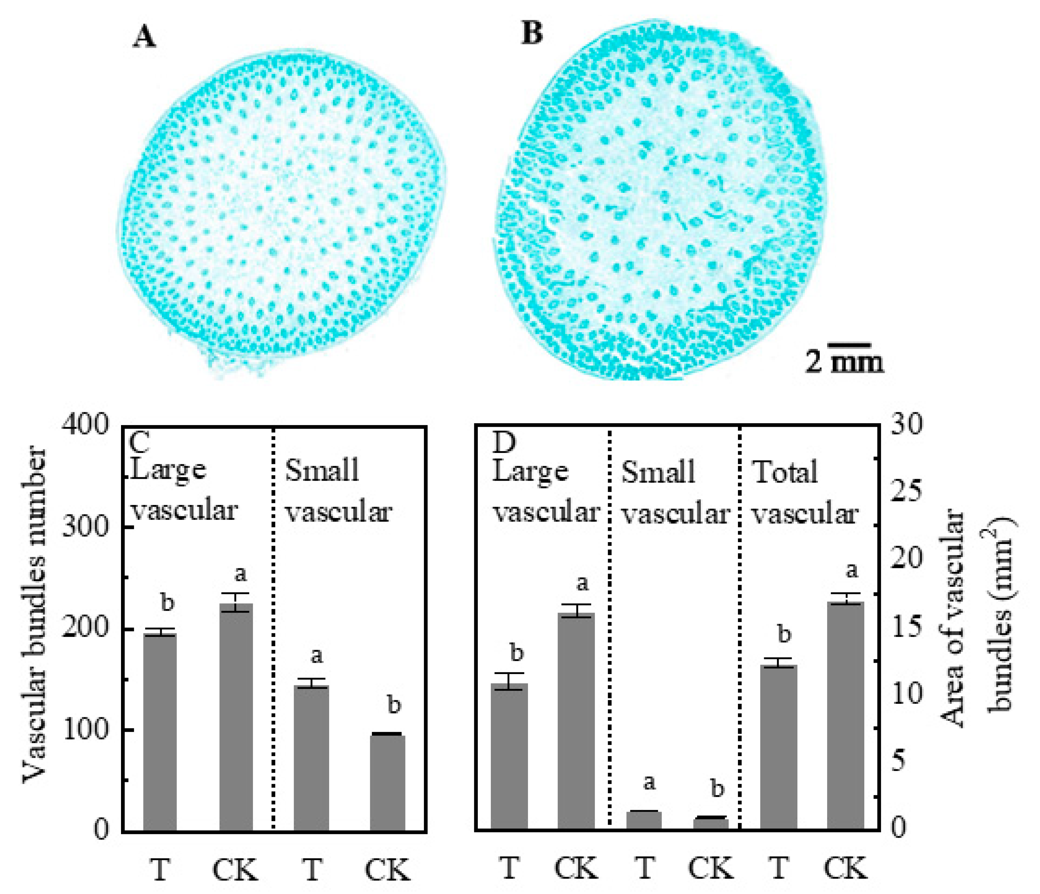 Plants 09 00987 g007 Plants 09 00987 g007