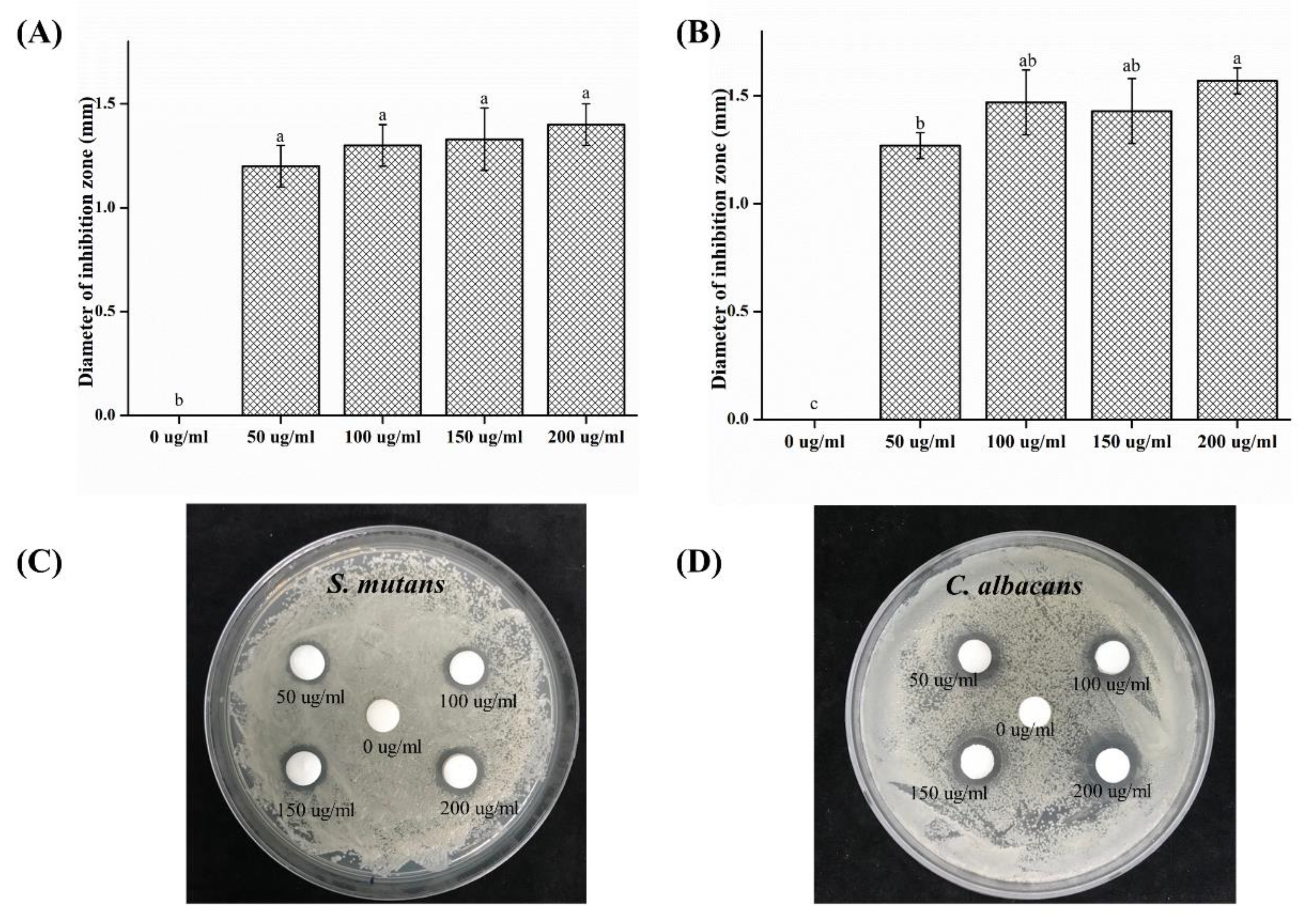 Plants 09 00988 g001