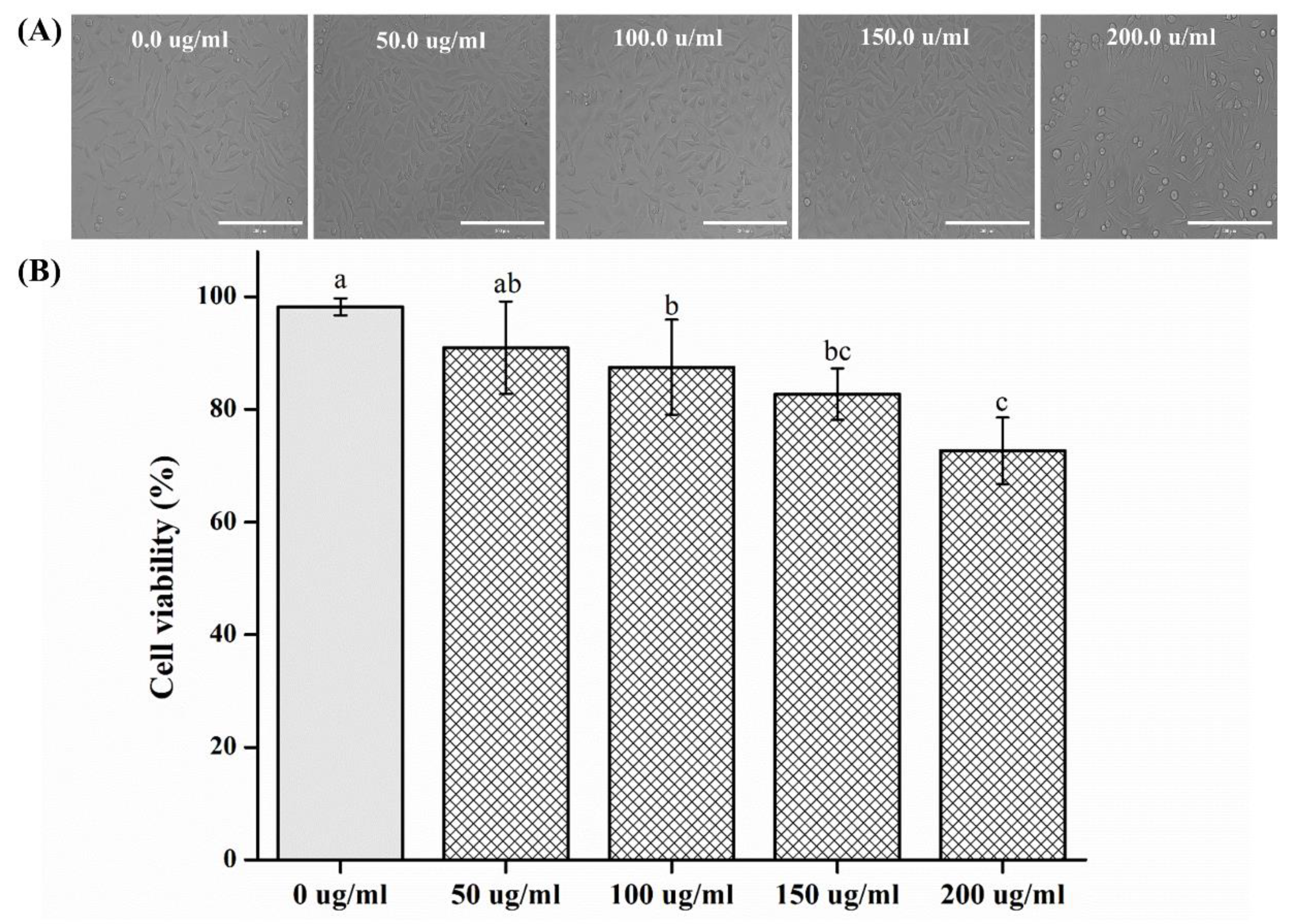 Plants 09 00988 g005