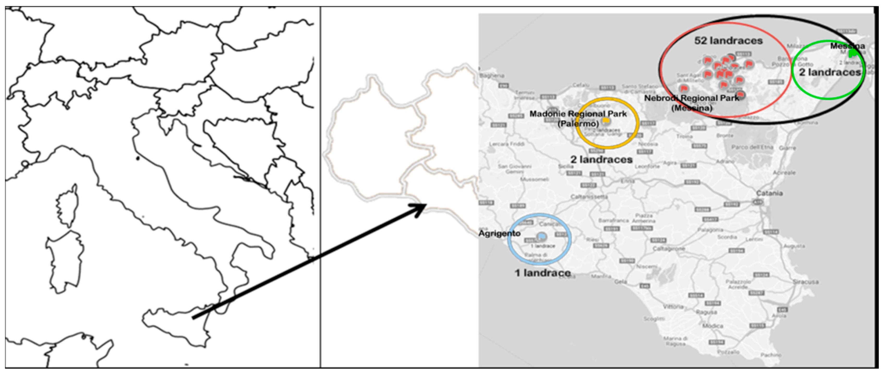 Plants 09 00989 g001