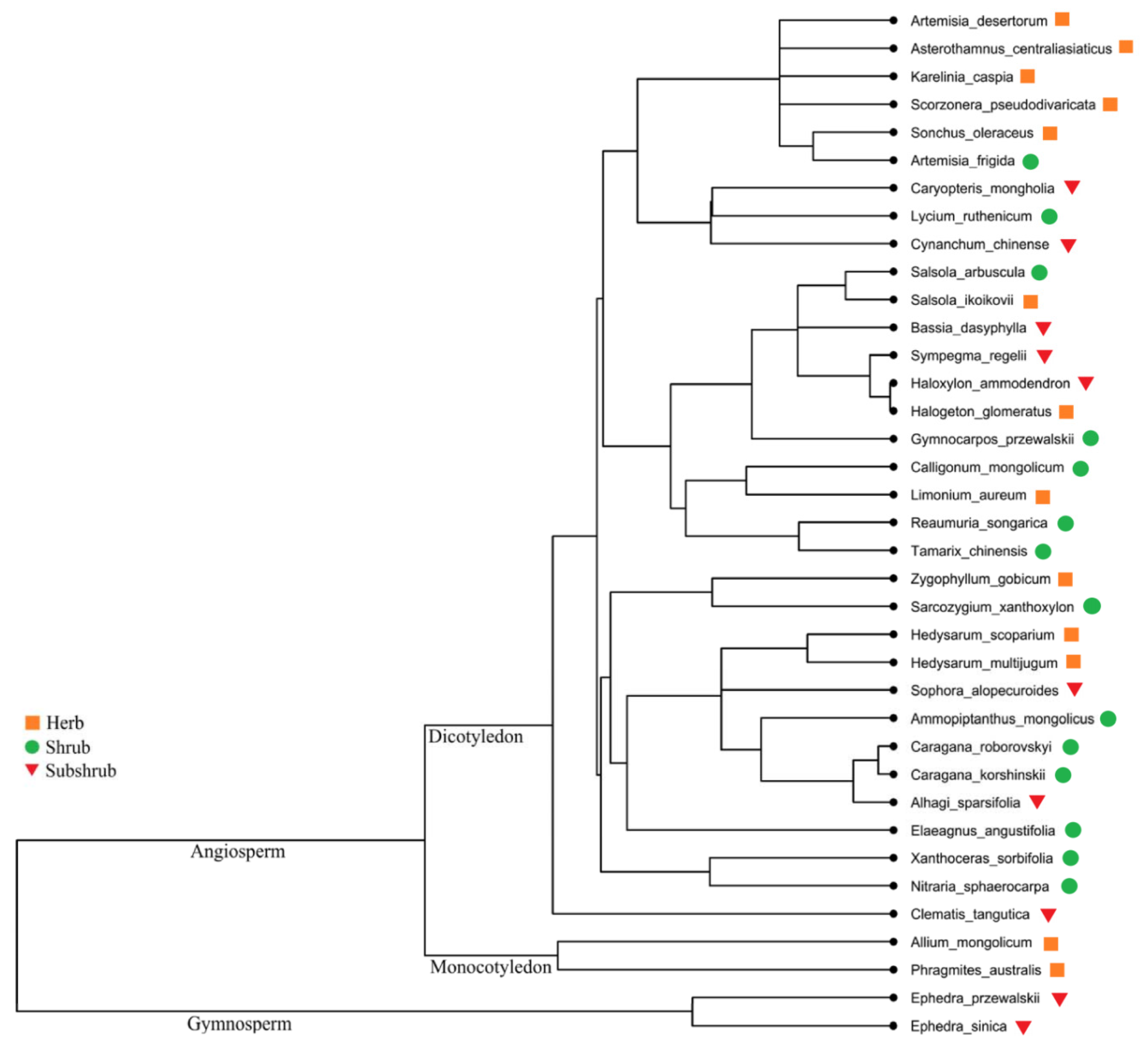 Plants 09 00990 g001