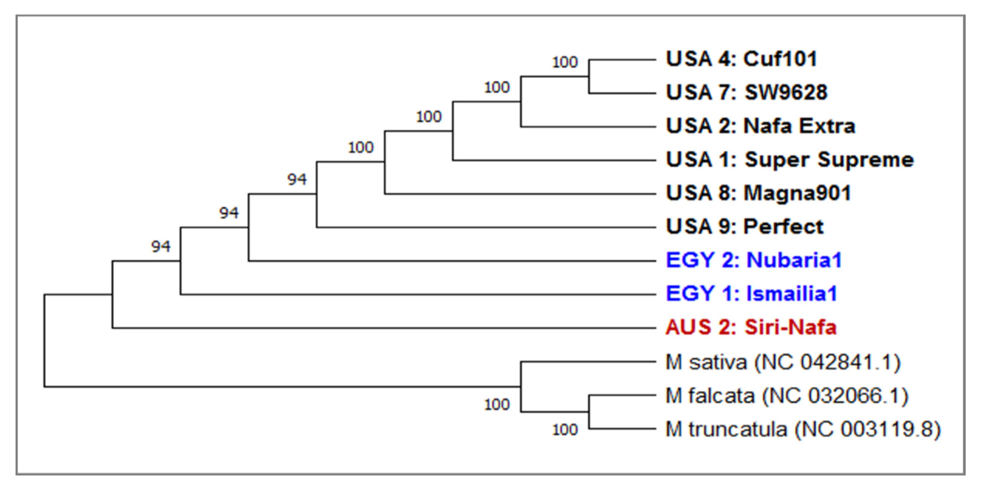 Plants 09 00995 g006