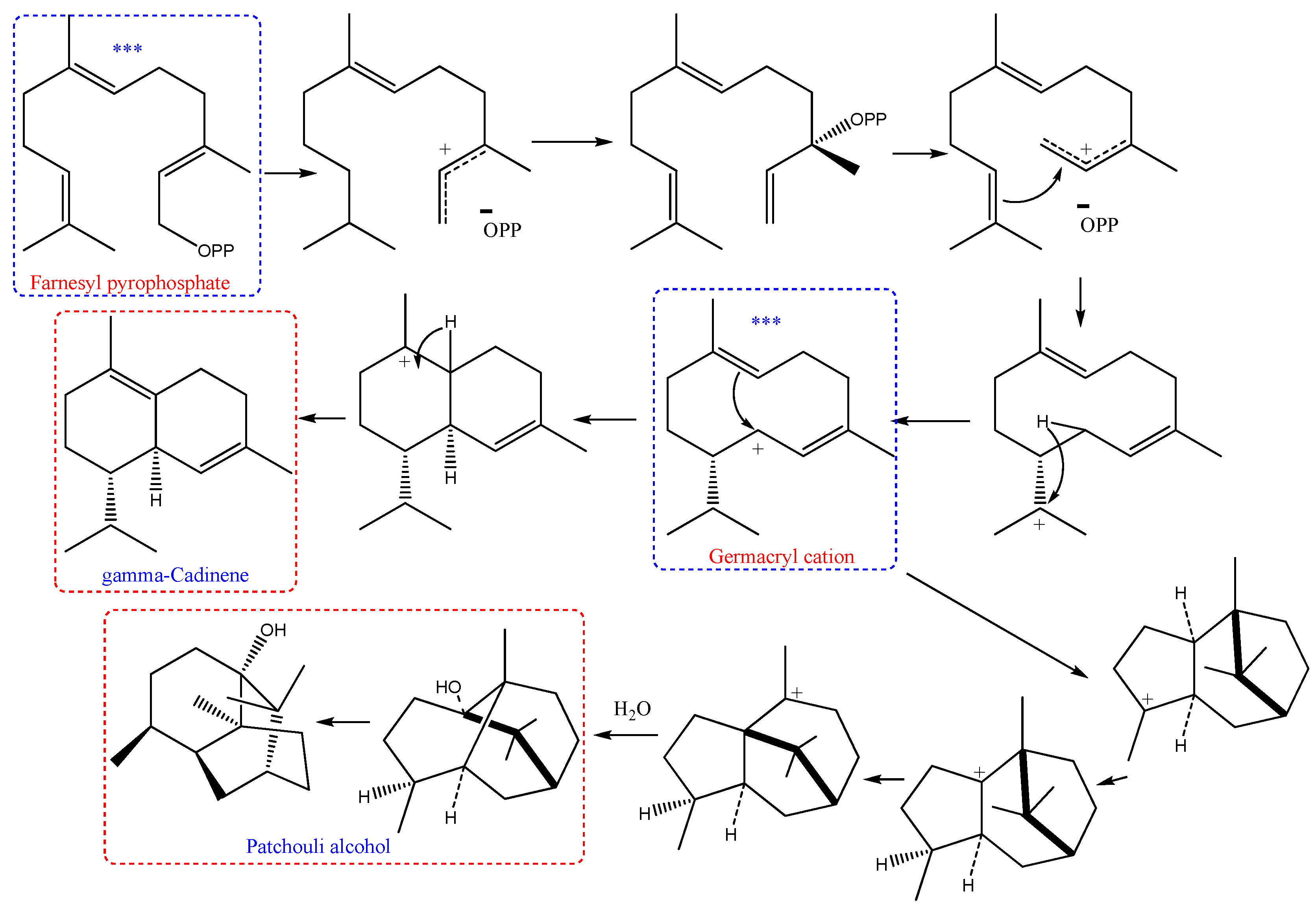 Plants 09 00998 g004