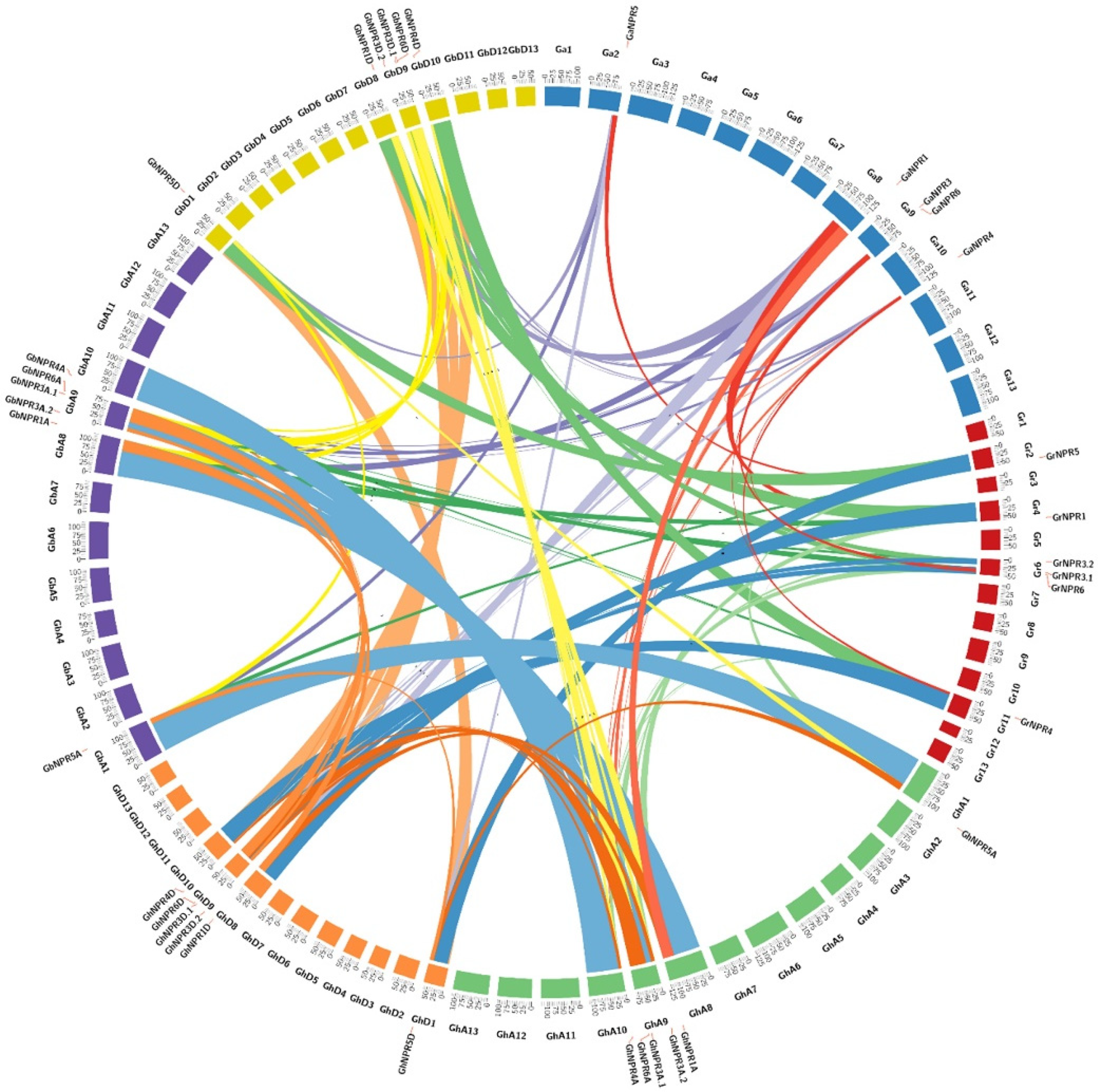 Plants 09 00999 g004