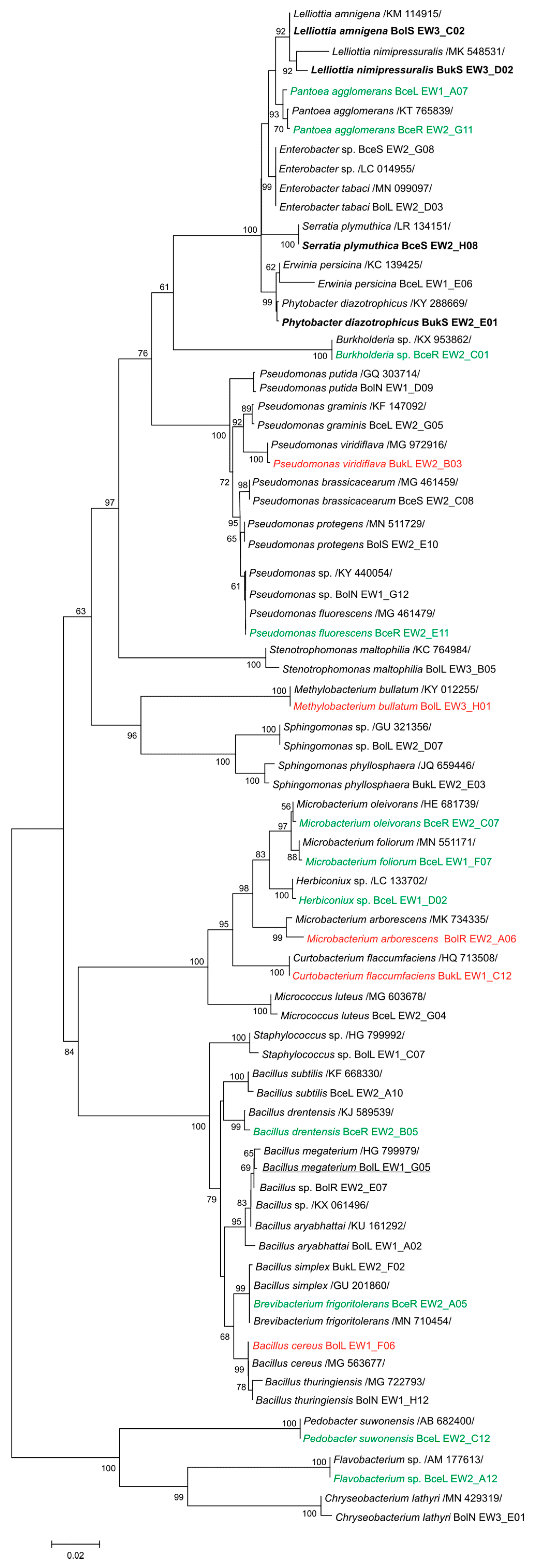 Plants 09 01002 g001