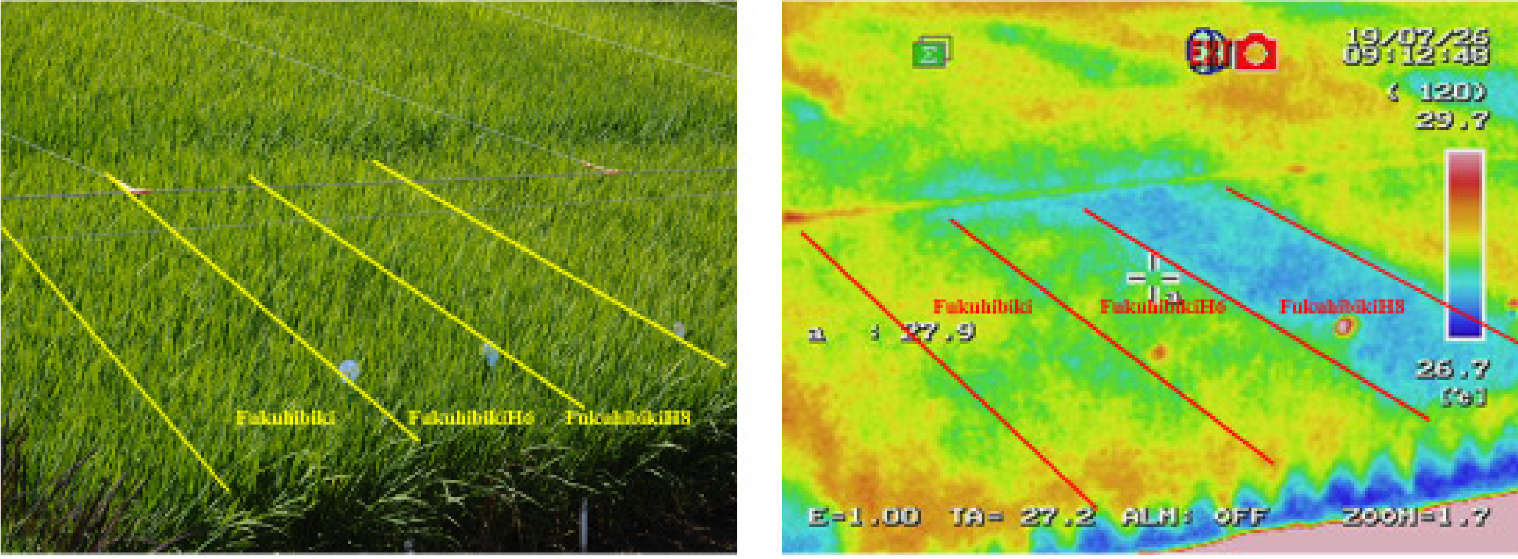 Plants 09 01004 g004