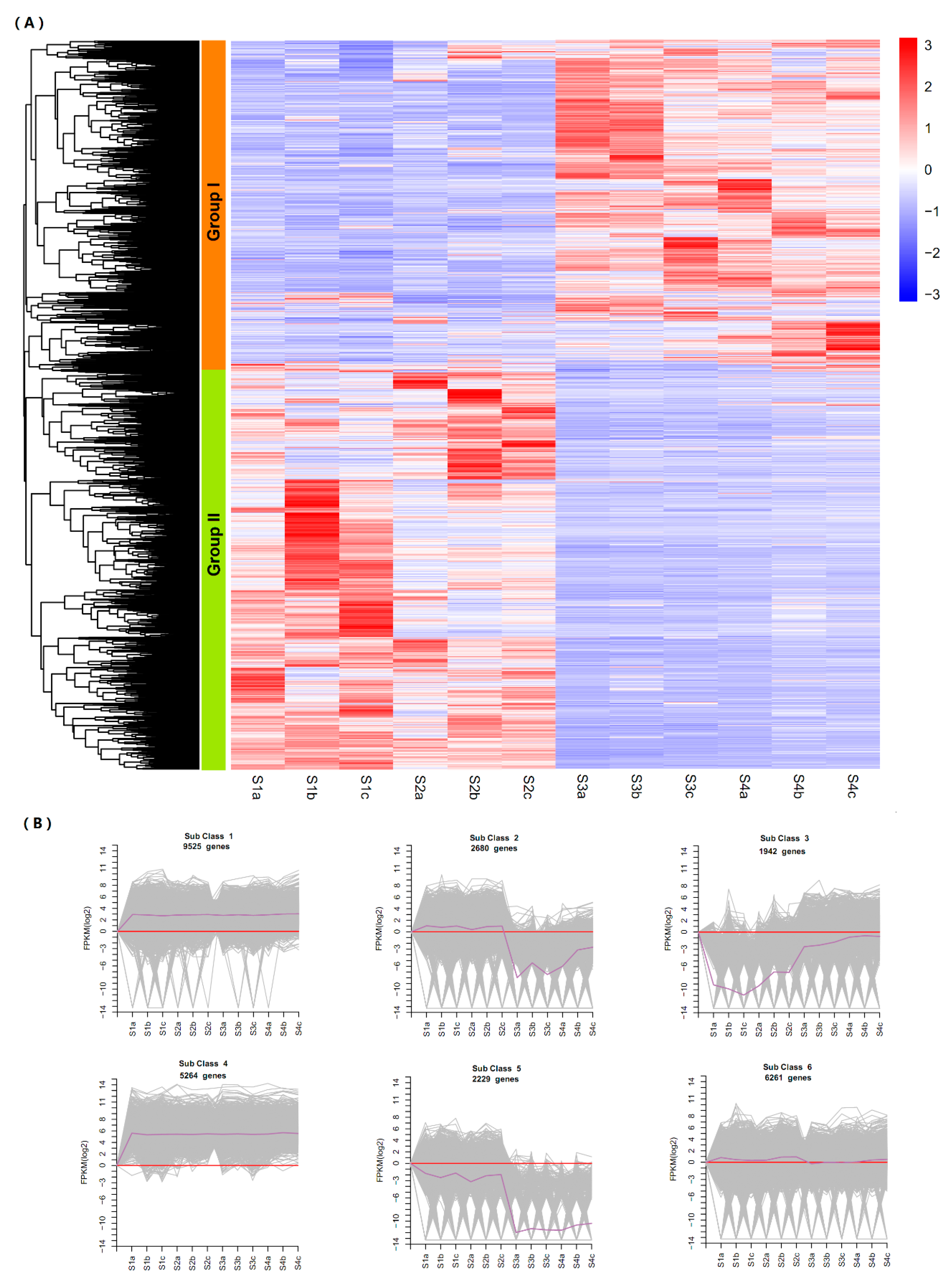 Plants 09 01006 g004