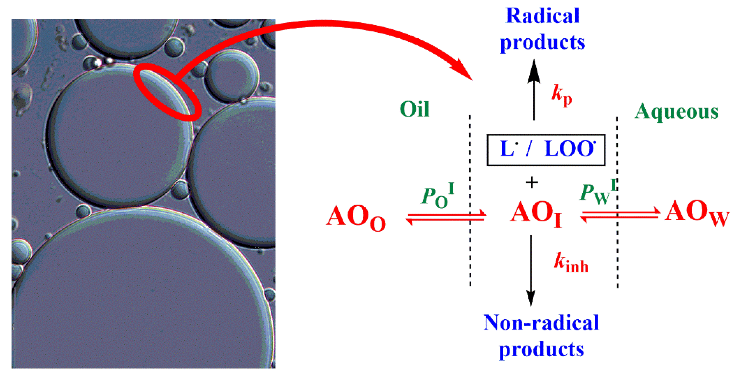 Plants 09 01012 sch003