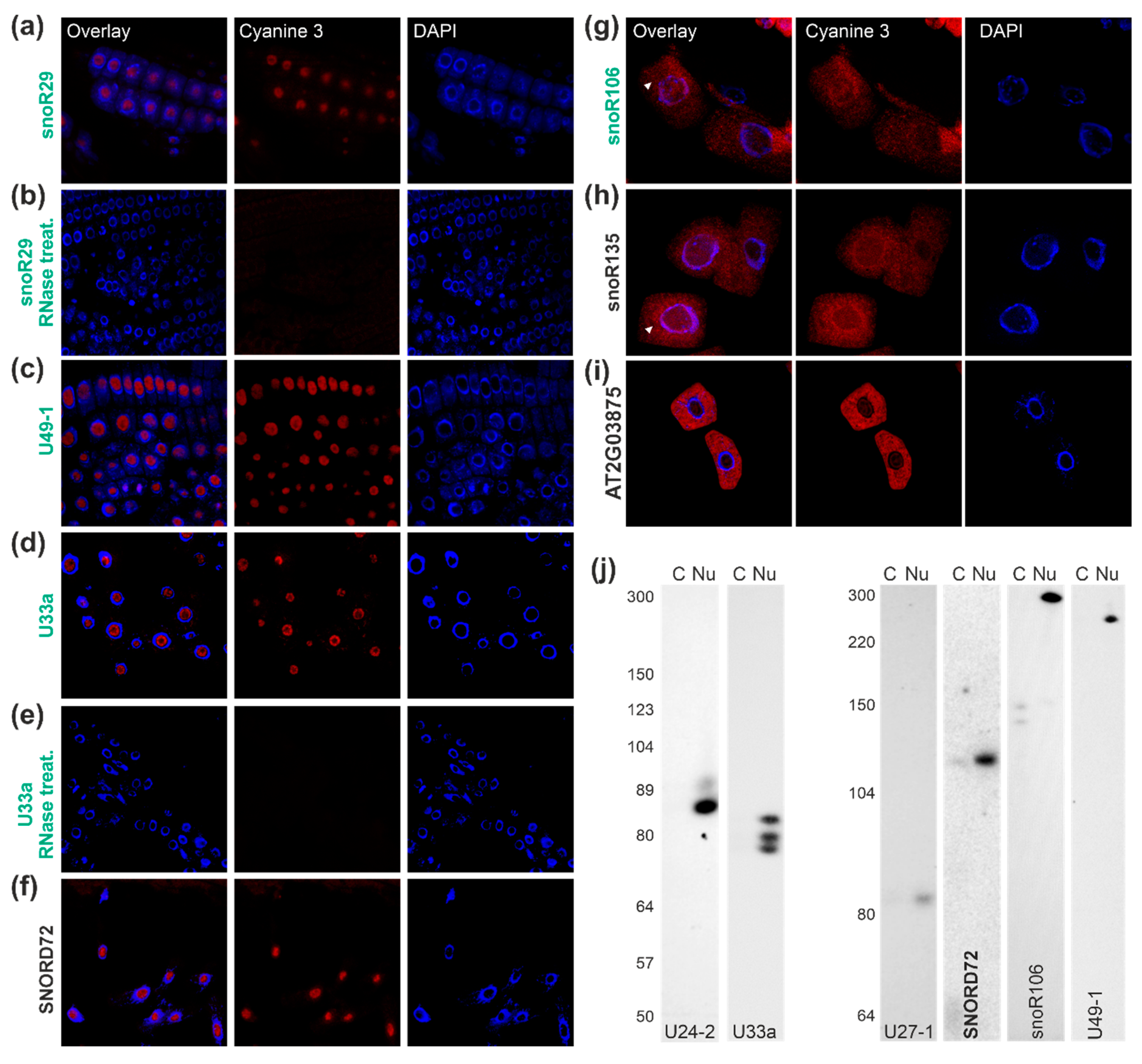 Plants 09 01016 g004 Plants 09 01016 g004