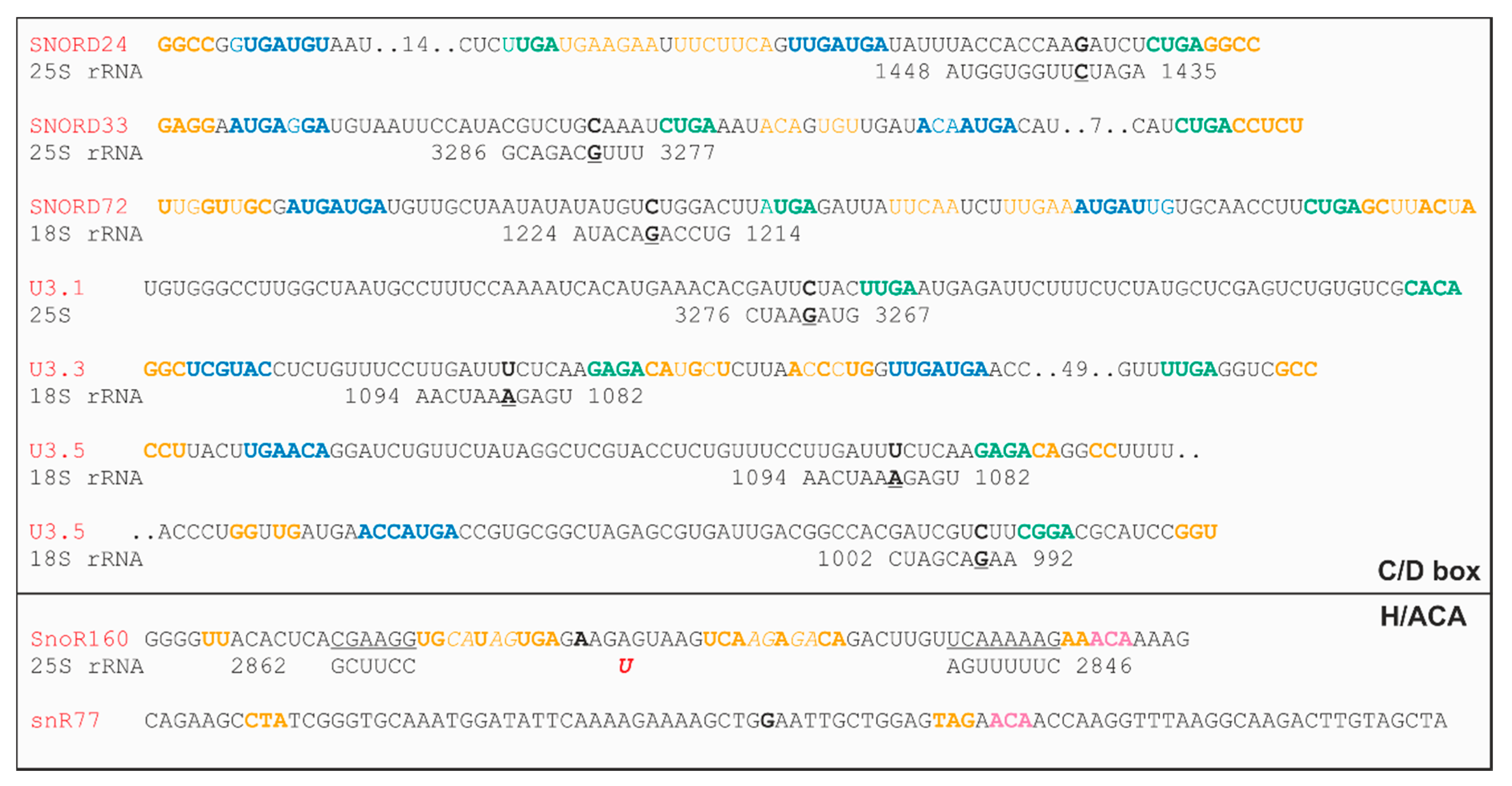 Plants 09 01016 g007 Plants 09 01016 g007