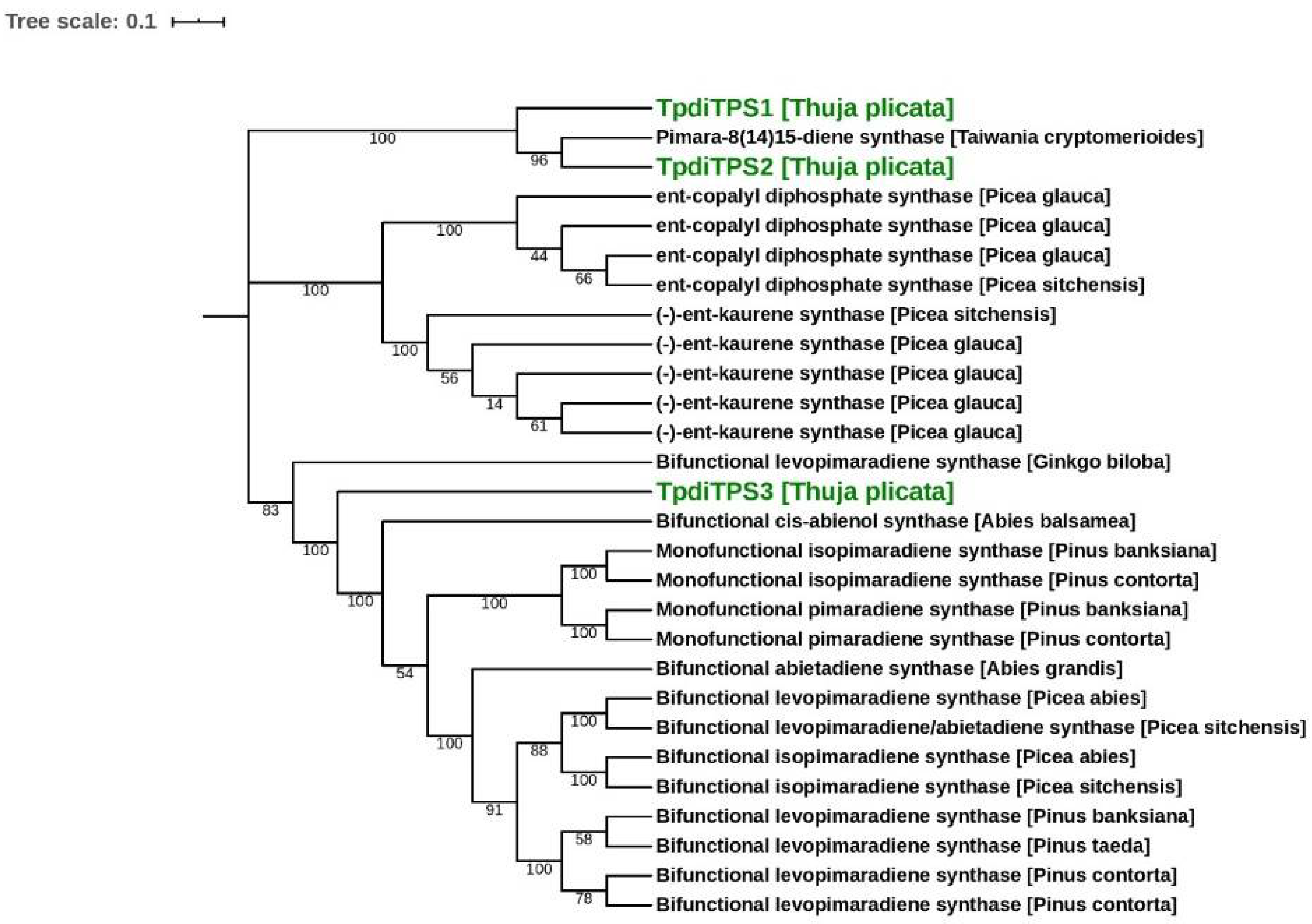 Plants 09 01018 g001
