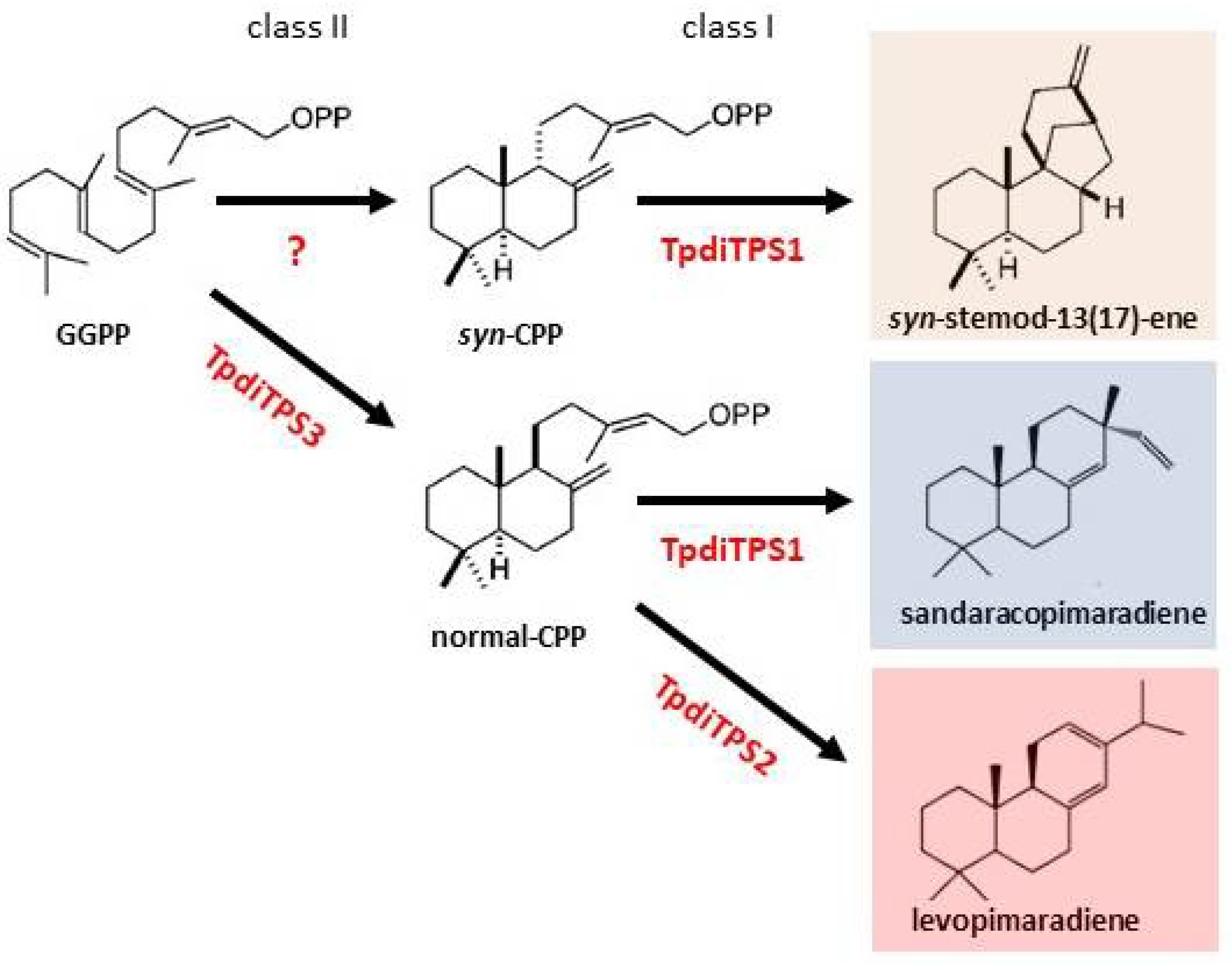 Plants 09 01018 g009