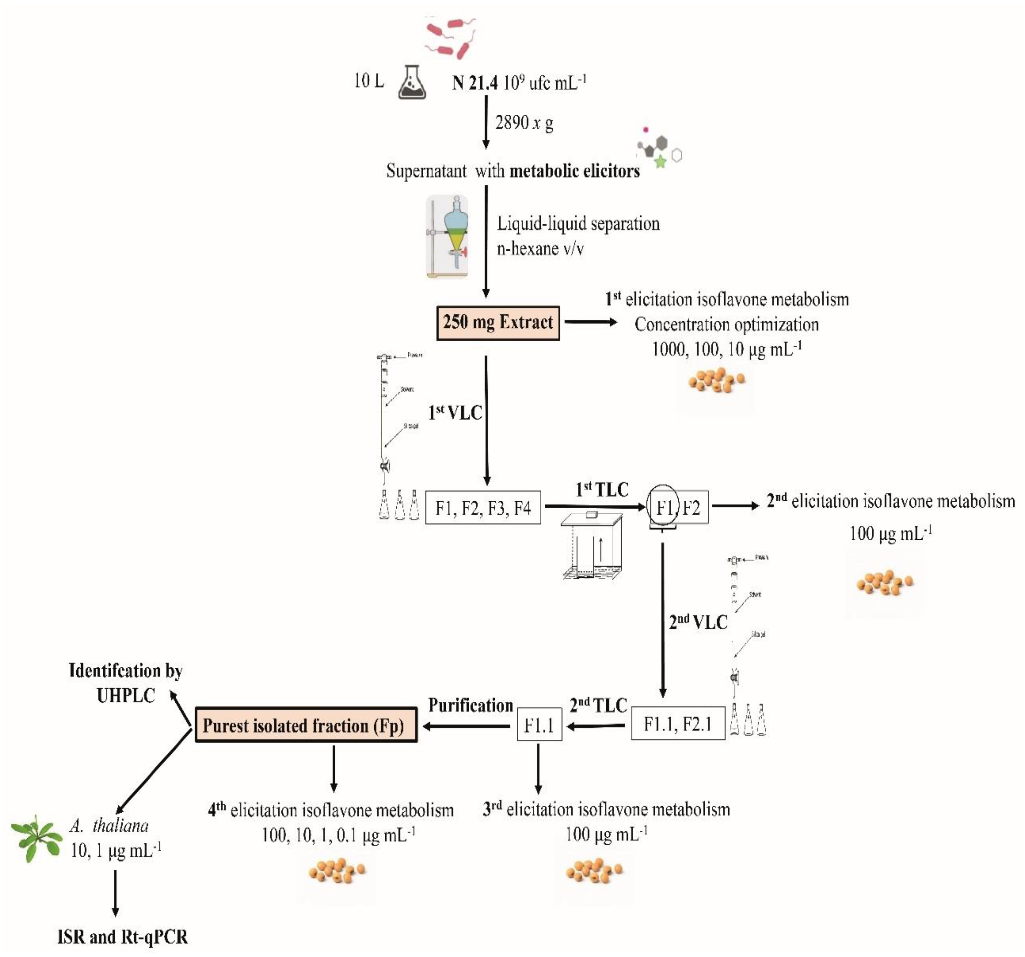 Plants 09 01020 g001 Plants 09 01020 g001