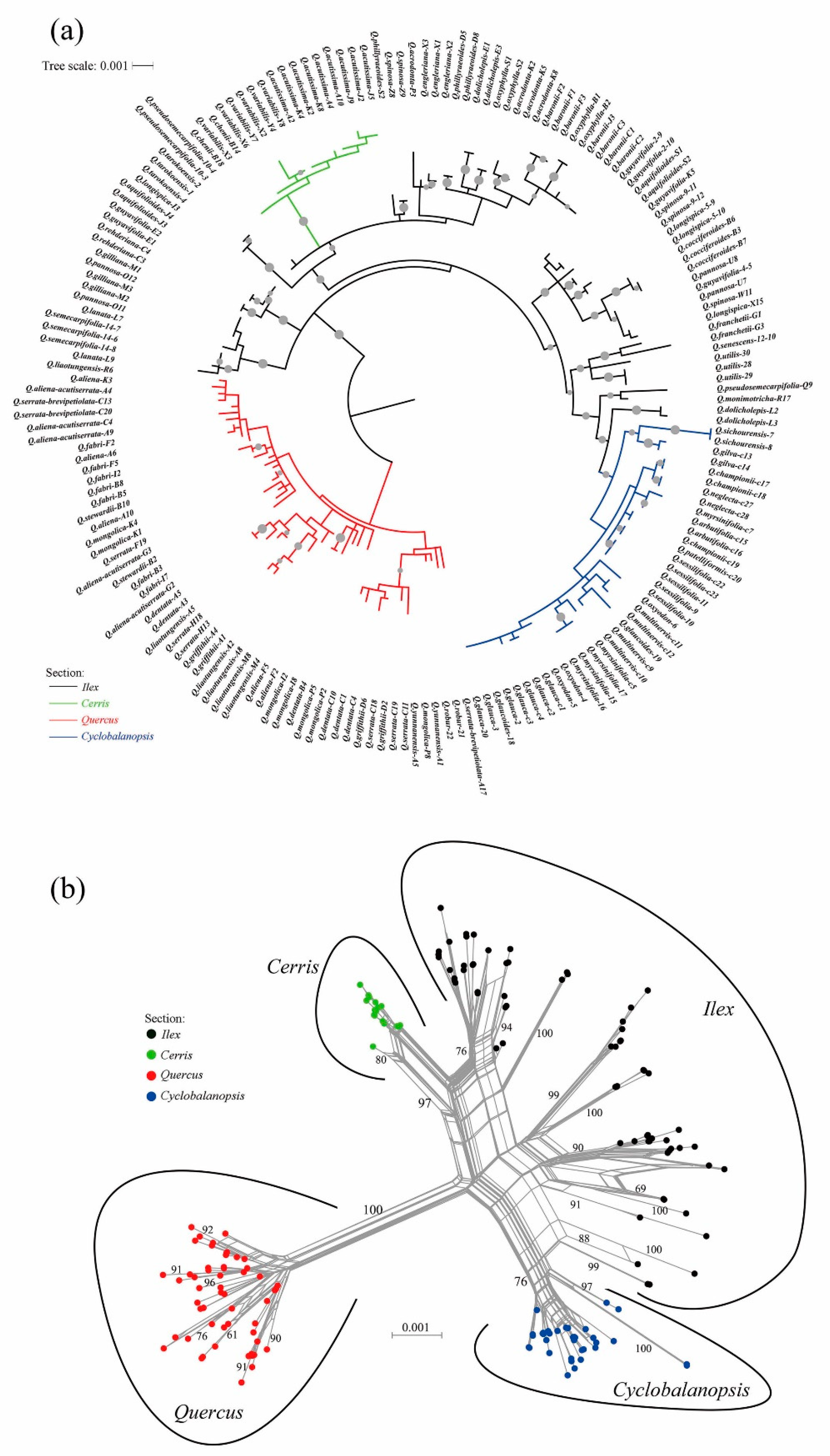 Plants 09 01024 g001 Plants 09 01024 g001