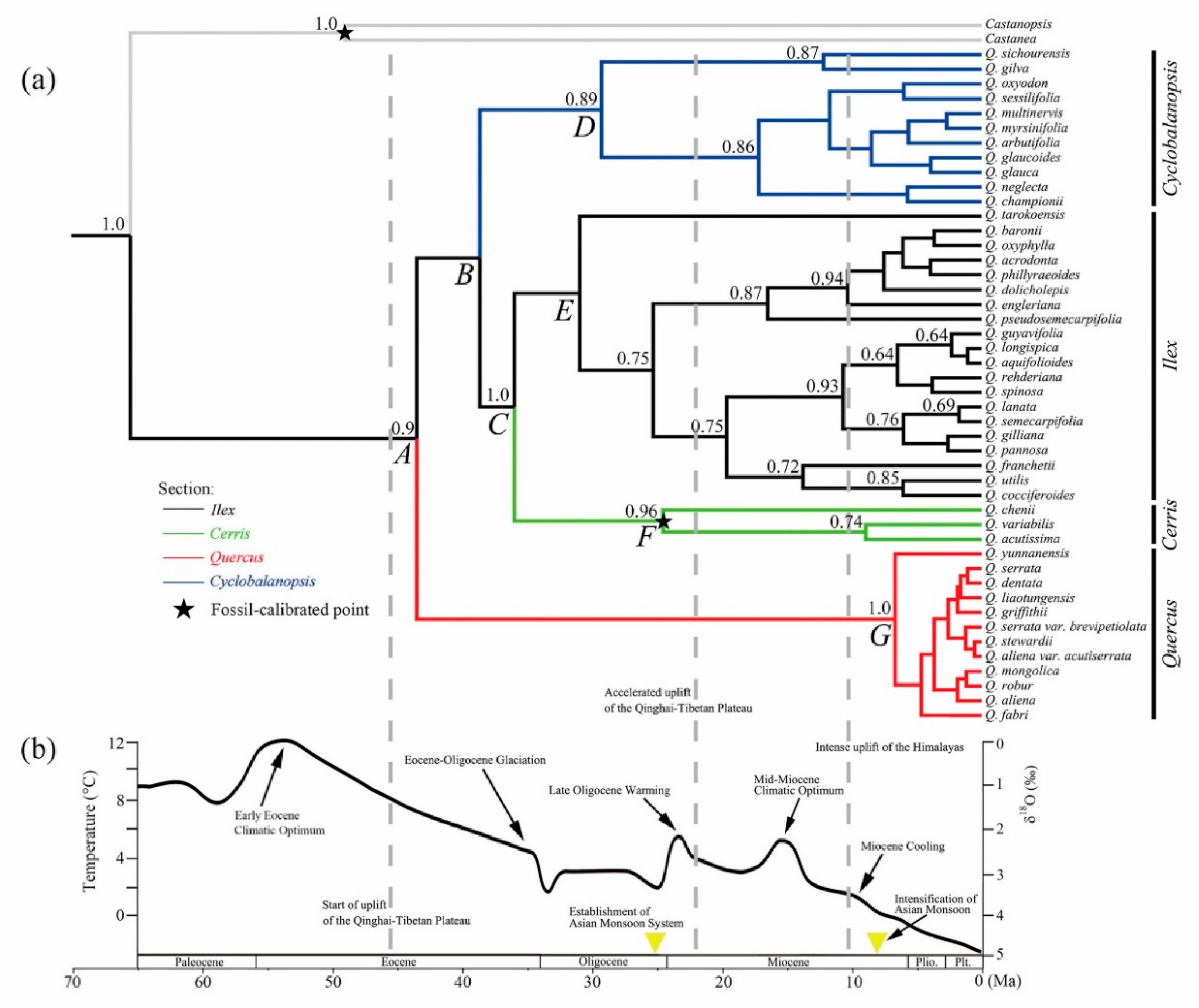 Plants 09 01024 g002 Plants 09 01024 g002