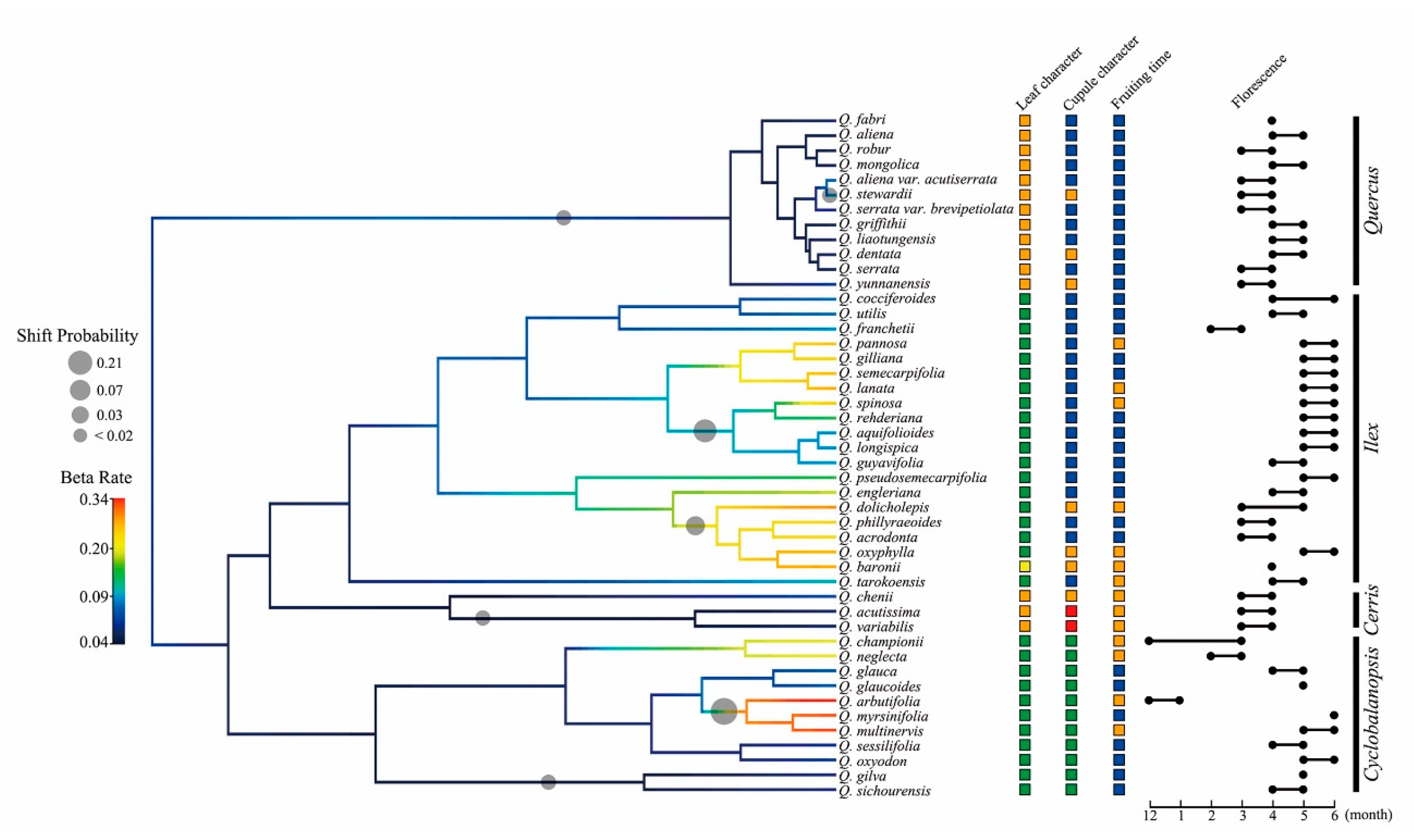 Plants 09 01024 g004 Plants 09 01024 g004